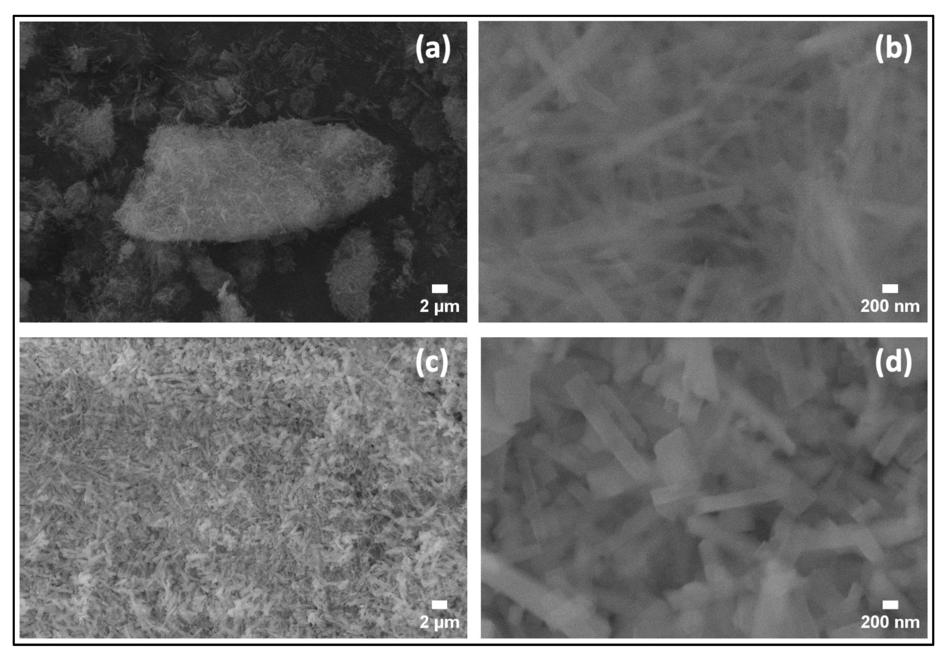Nanomaterials 14 00353 g006