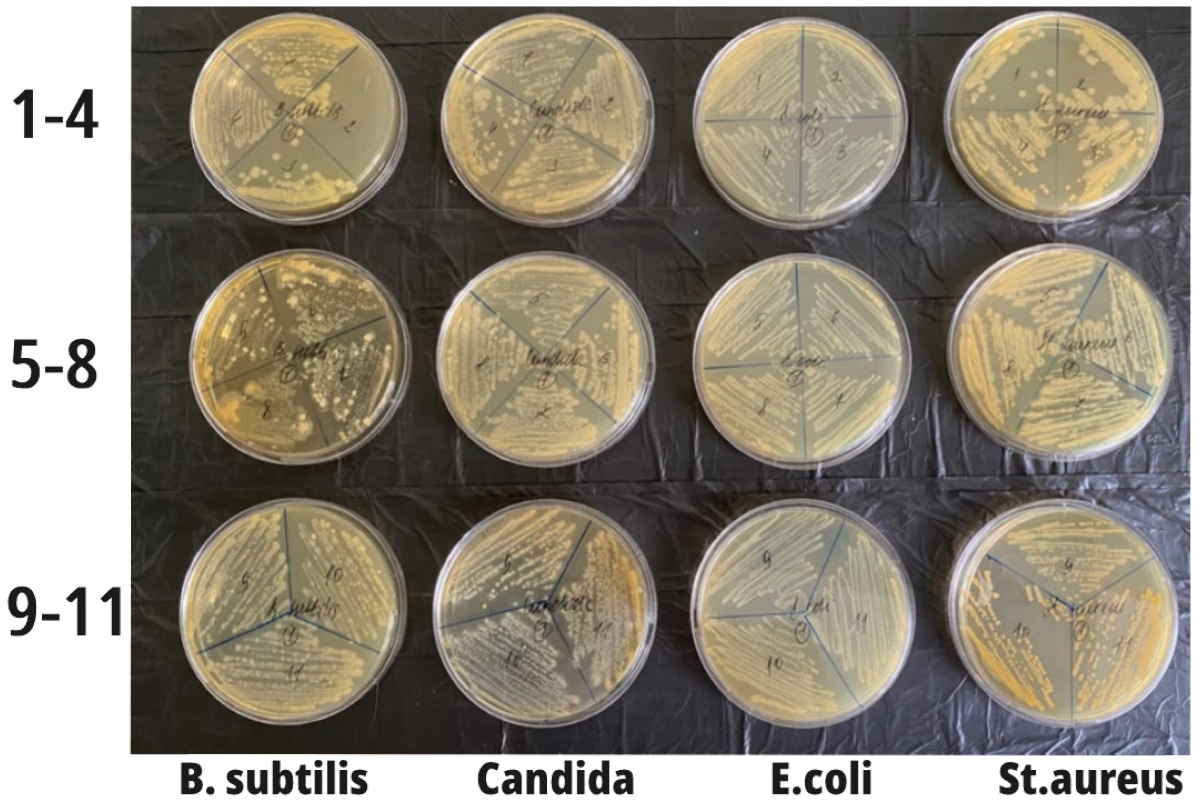 Nanomaterials 14 00354 g006
