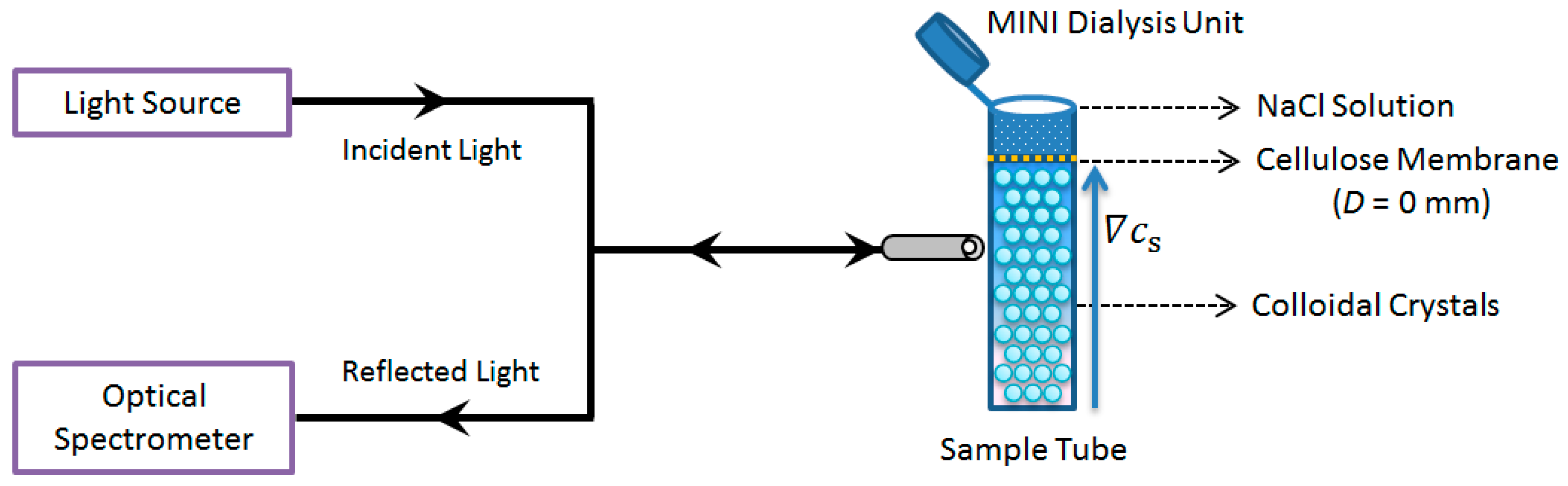 Nanomaterials 14 00355 g001