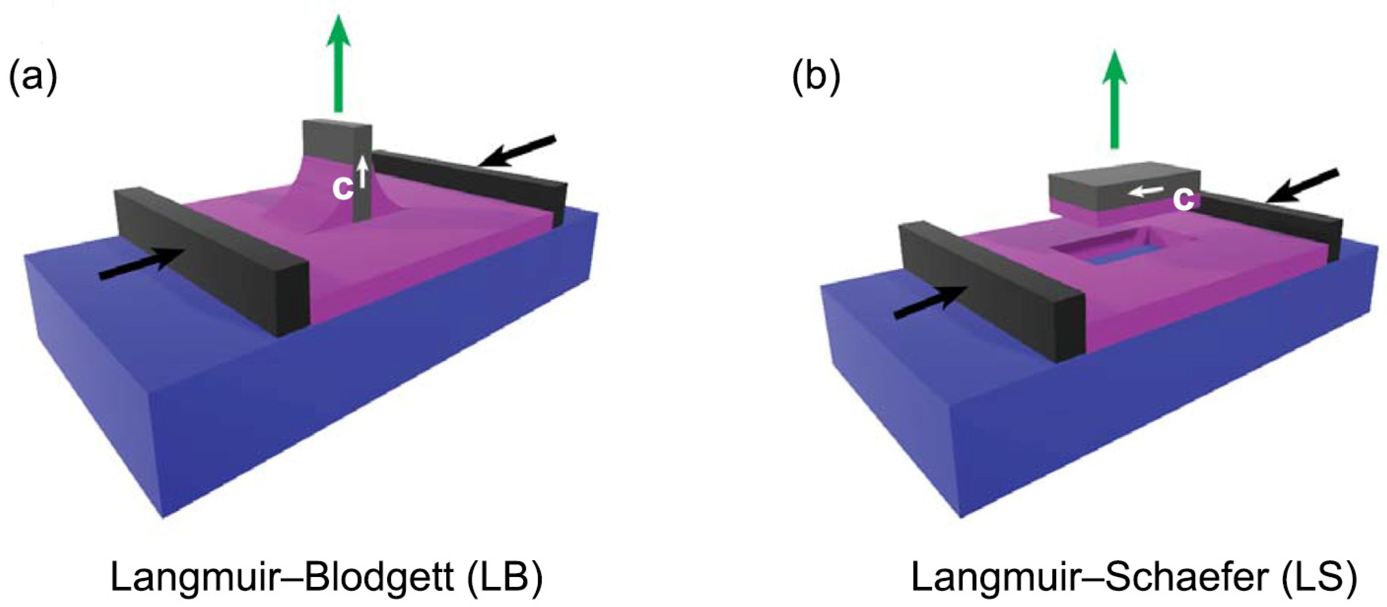 Nanomaterials 14 00357 g003 Nanomaterials 14 00357 g003