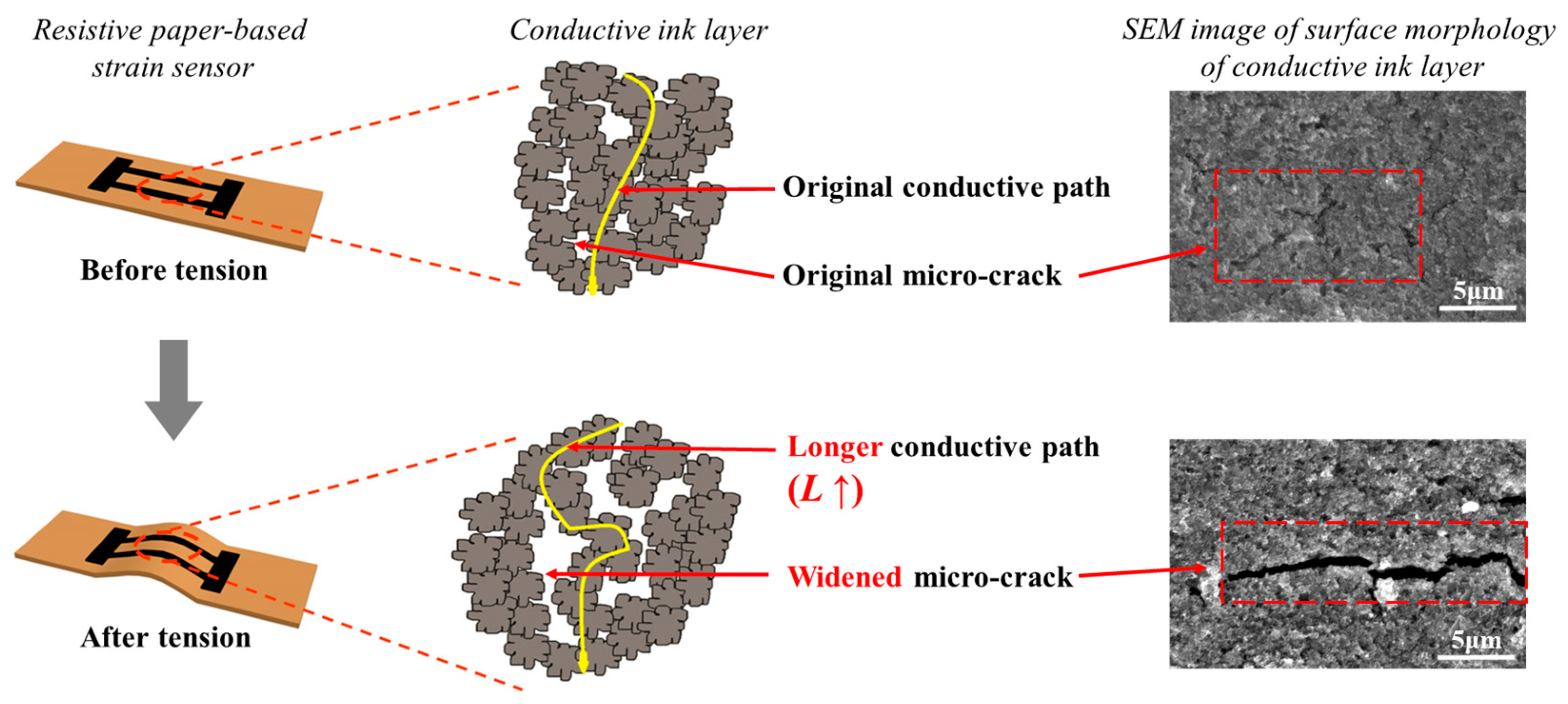 Nanomaterials 14 00358 g005