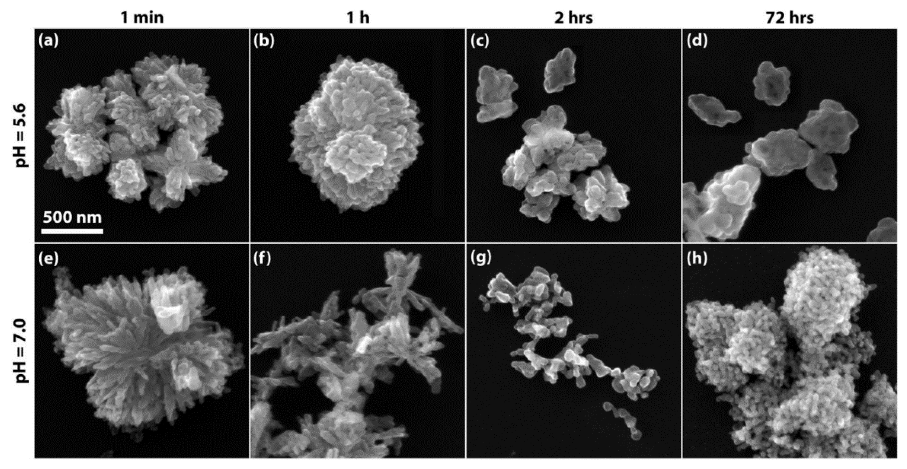 Nanomaterials 14 00359 g011