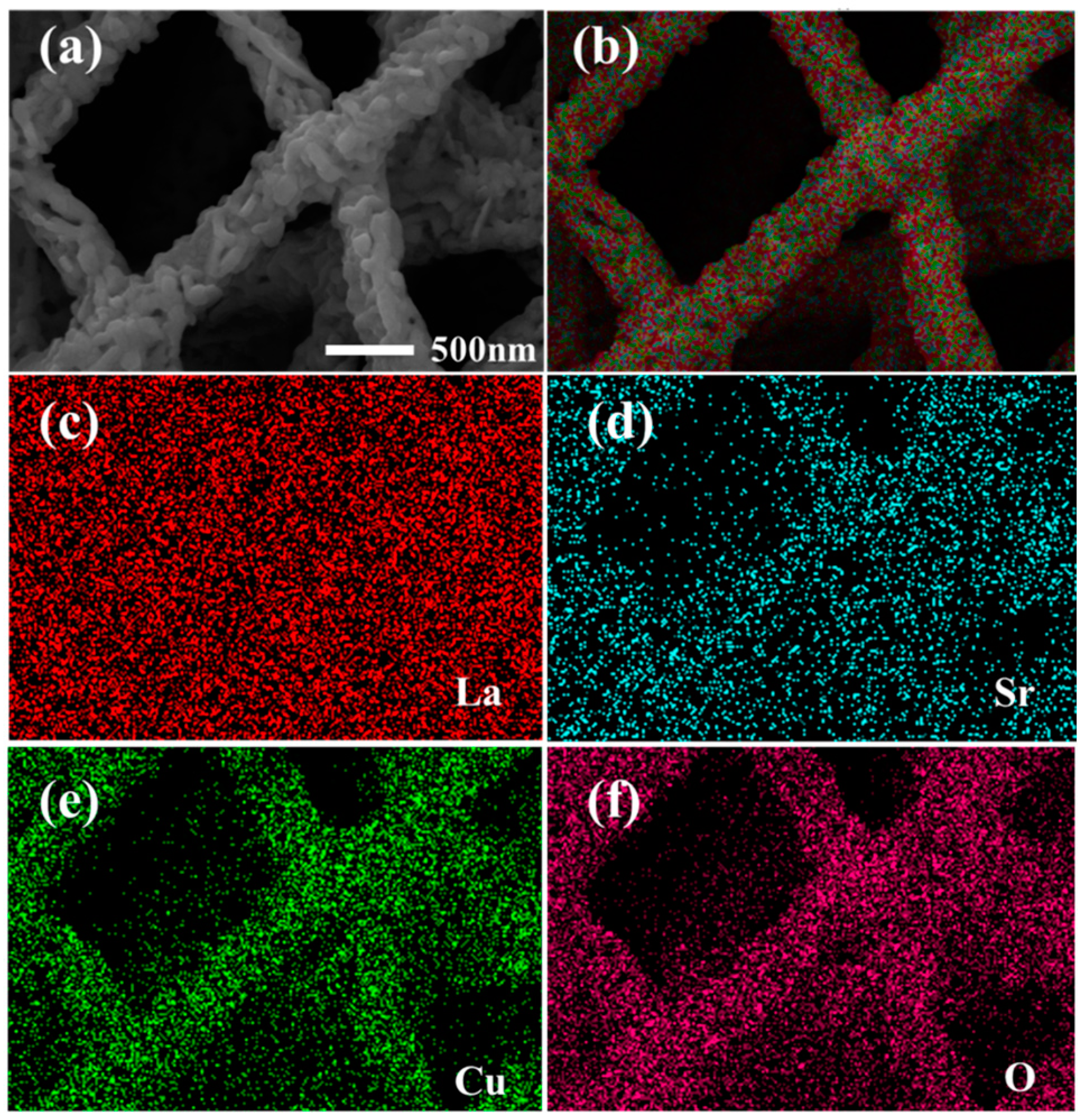 Nanomaterials 14 00361 g004