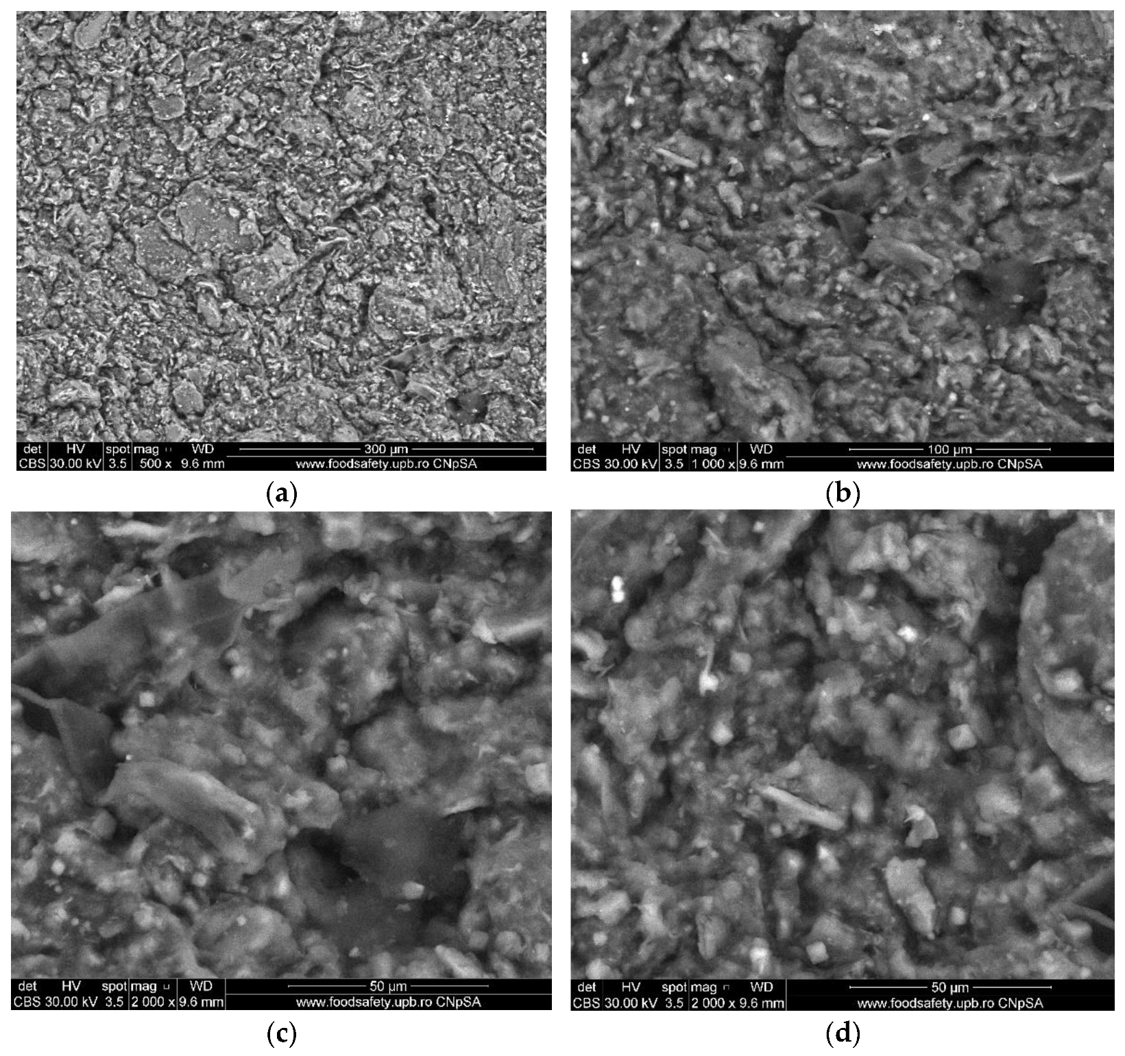 Nanomaterials 14 00362 g001