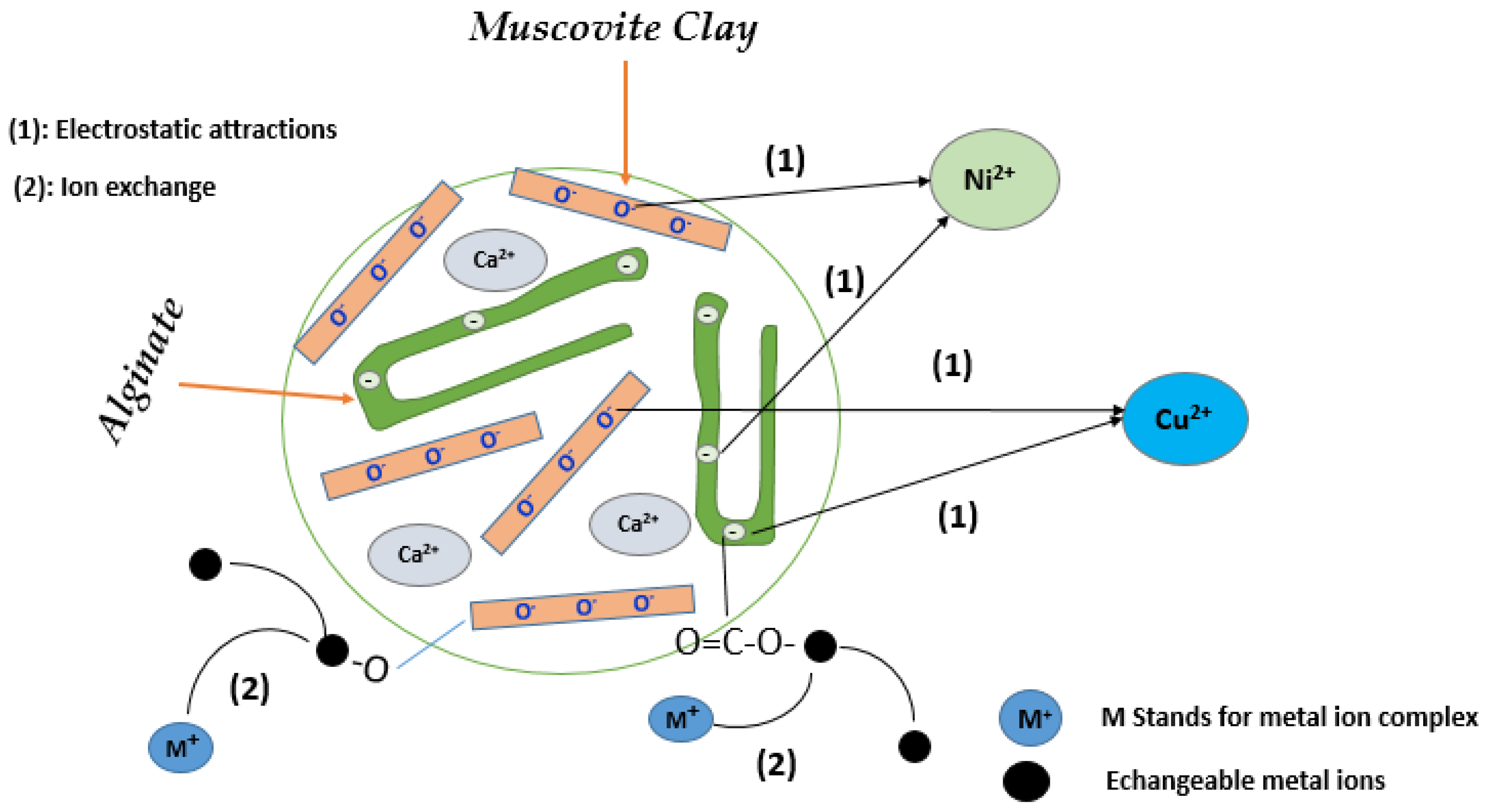 Nanomaterials 14 00362 g019