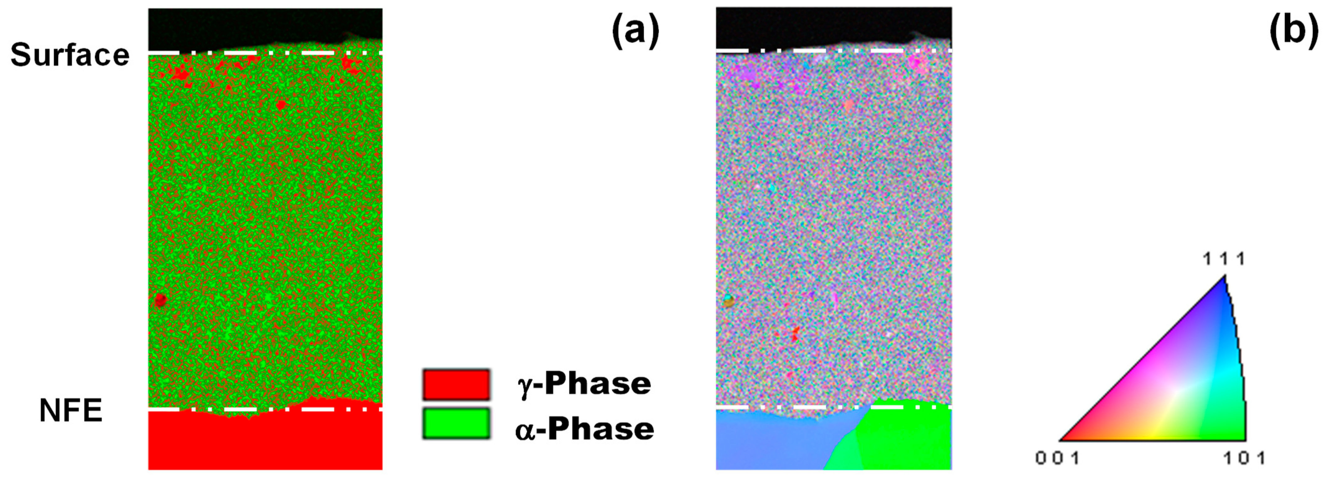 Nanomaterials 14 00363 g014 Nanomaterials 14 00363 g014
