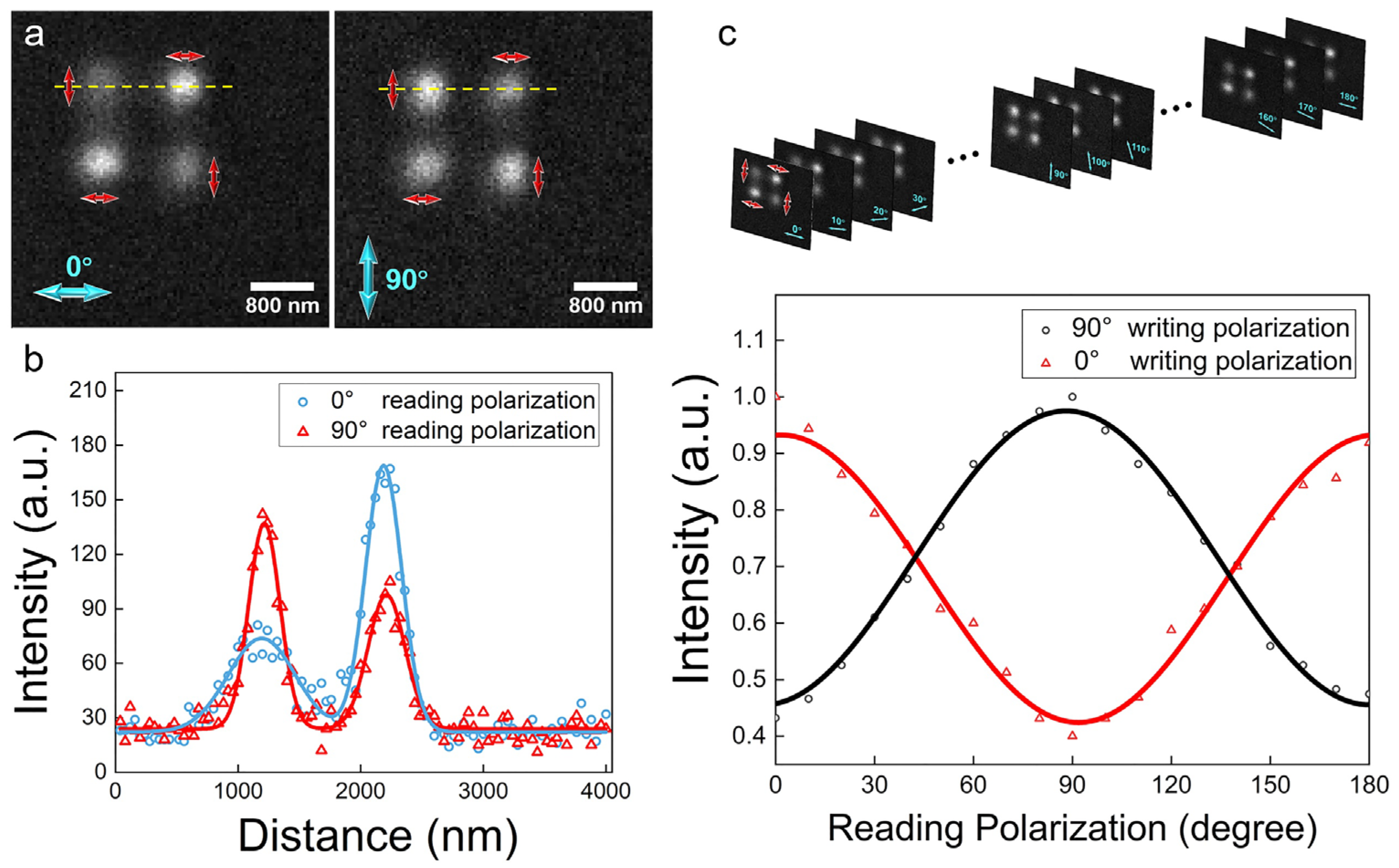 Nanomaterials 14 00364 g002