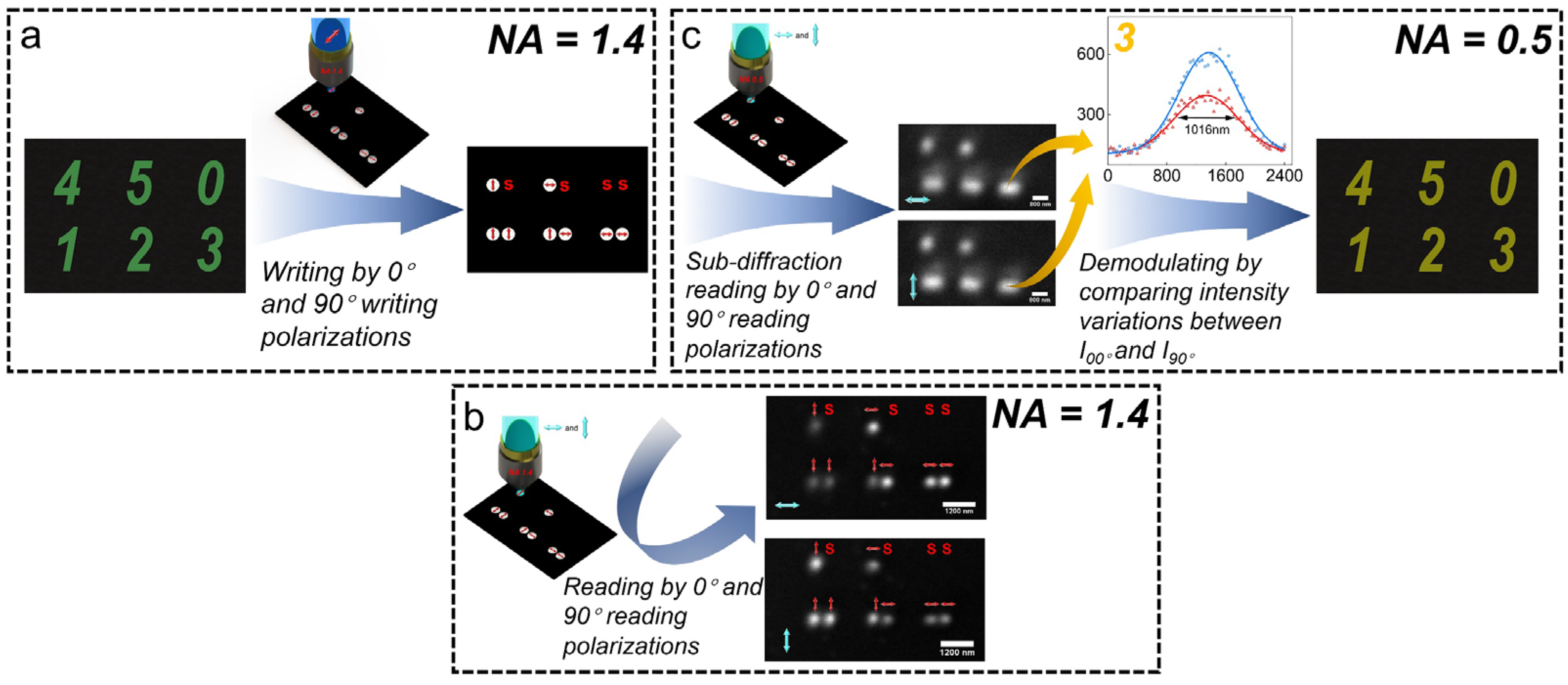 Nanomaterials 14 00364 g003