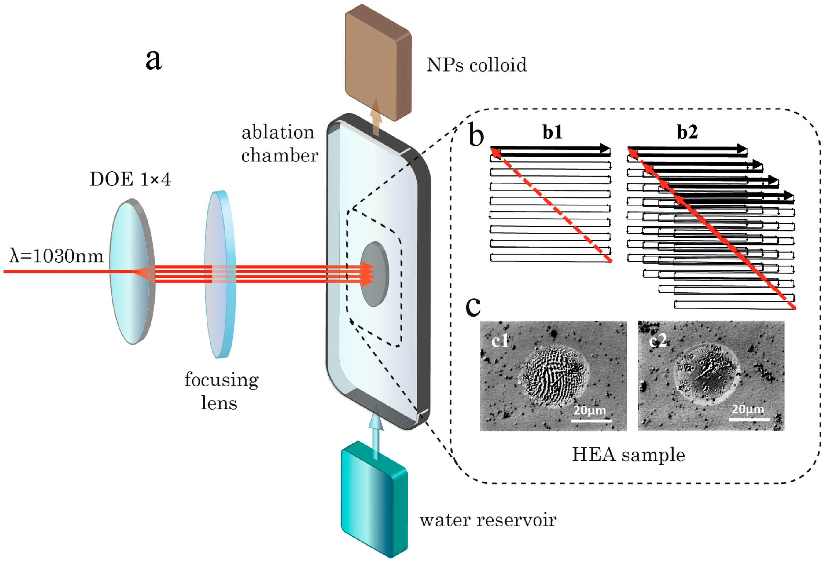Nanomaterials 14 00365 g001