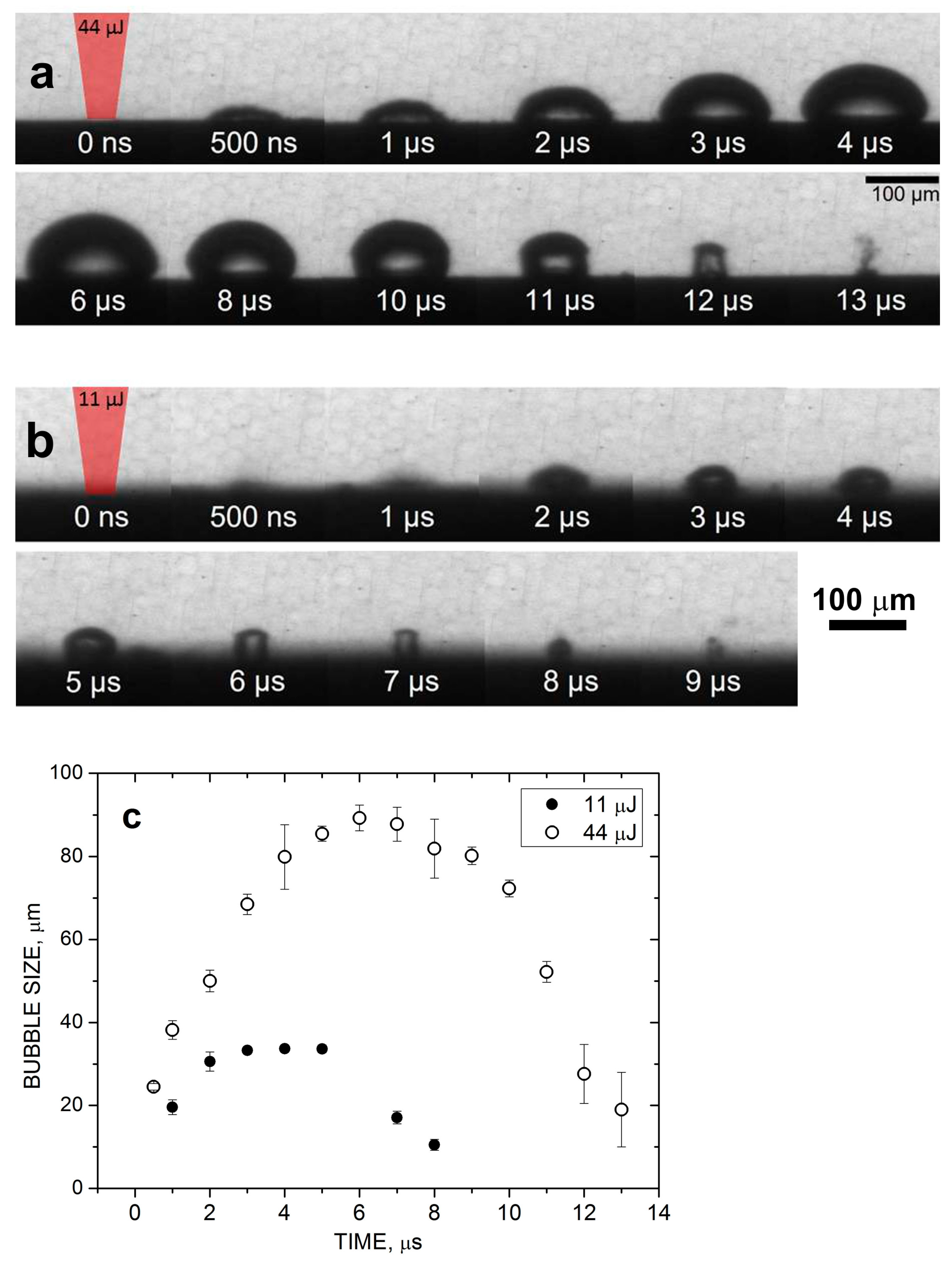 Nanomaterials 14 00365 g003