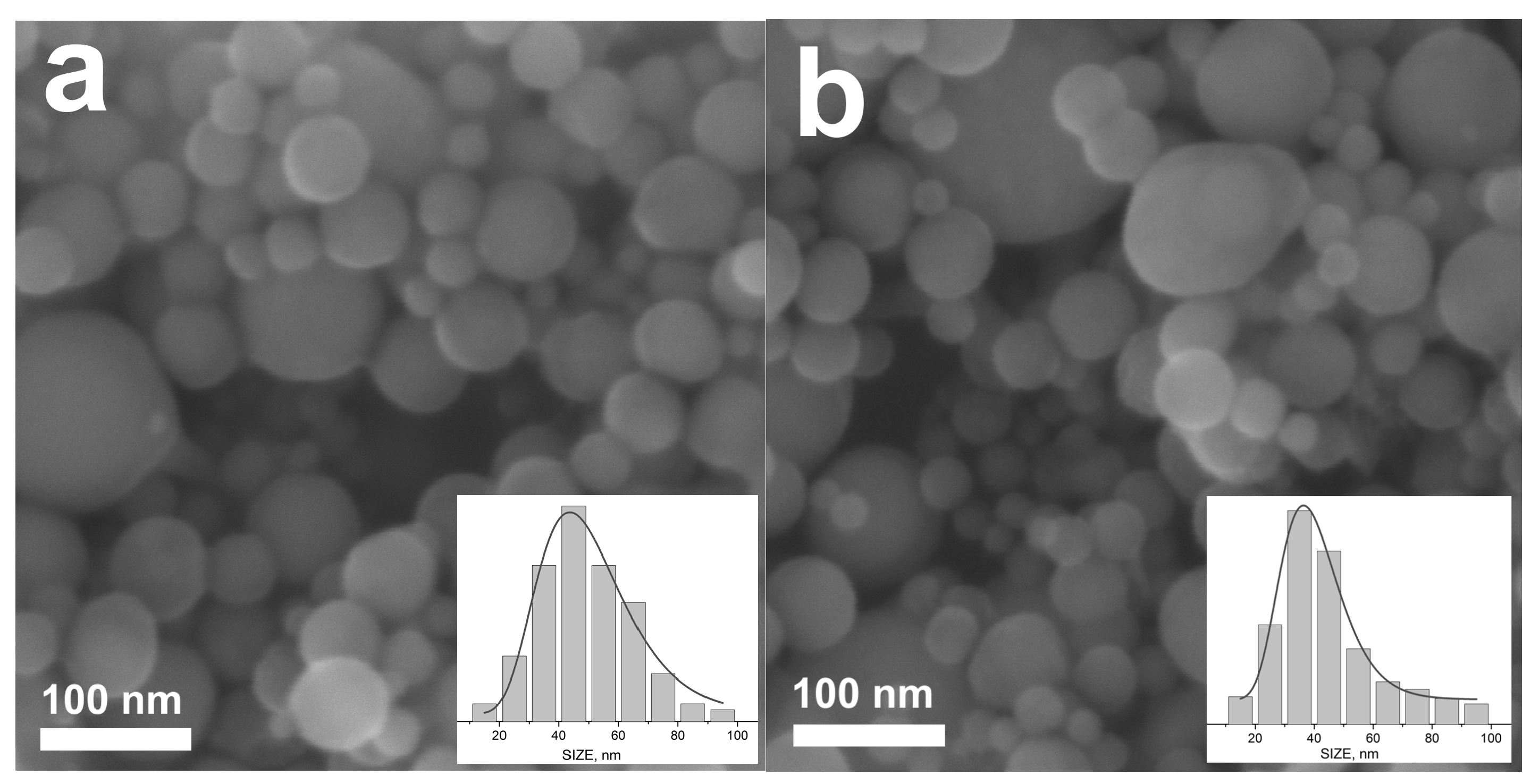 Nanomaterials 14 00365 g007