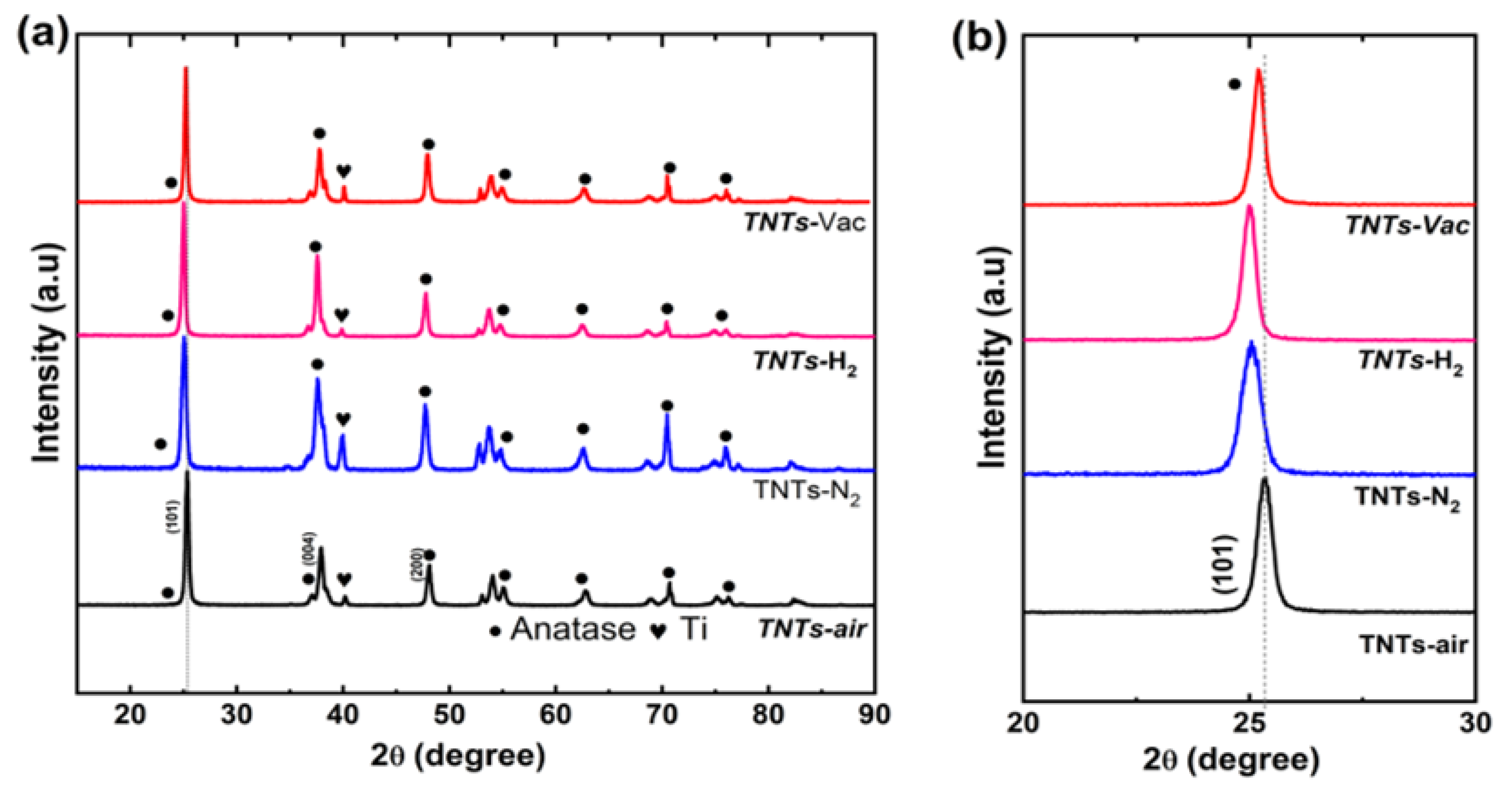 Nanomaterials 14 00366 g001