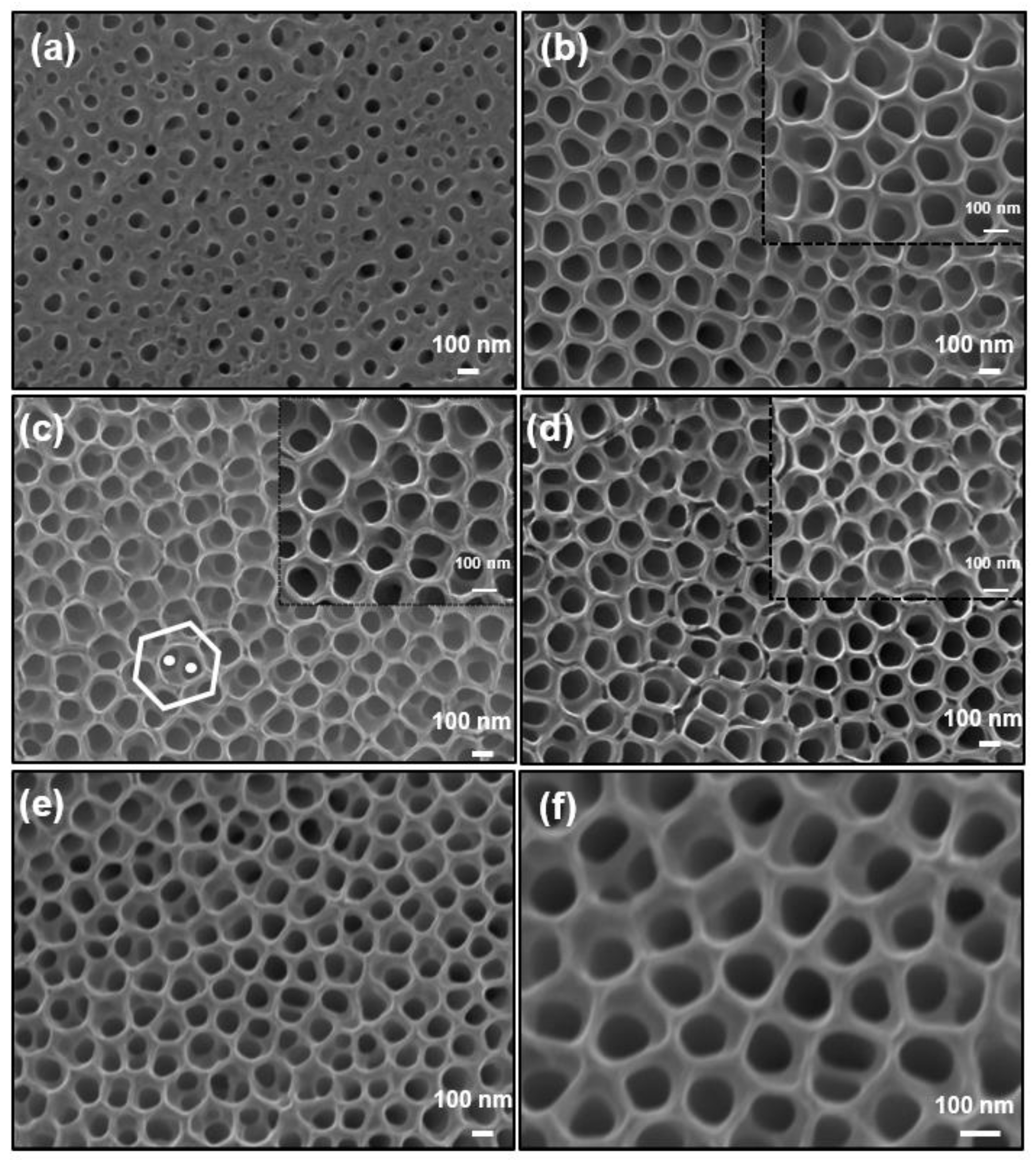 Nanomaterials 14 00366 g002