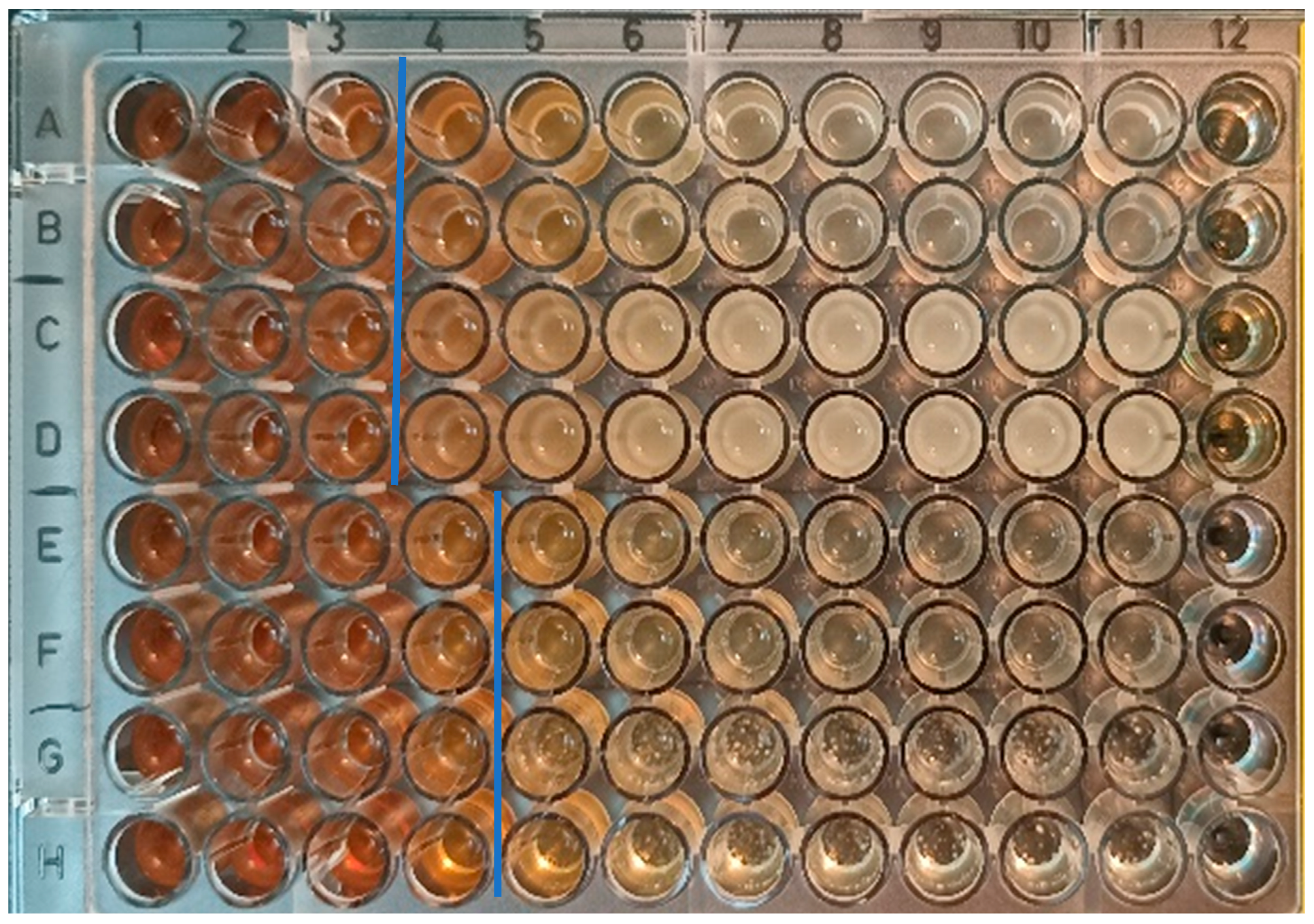 Nanomaterials 14 00371 g005