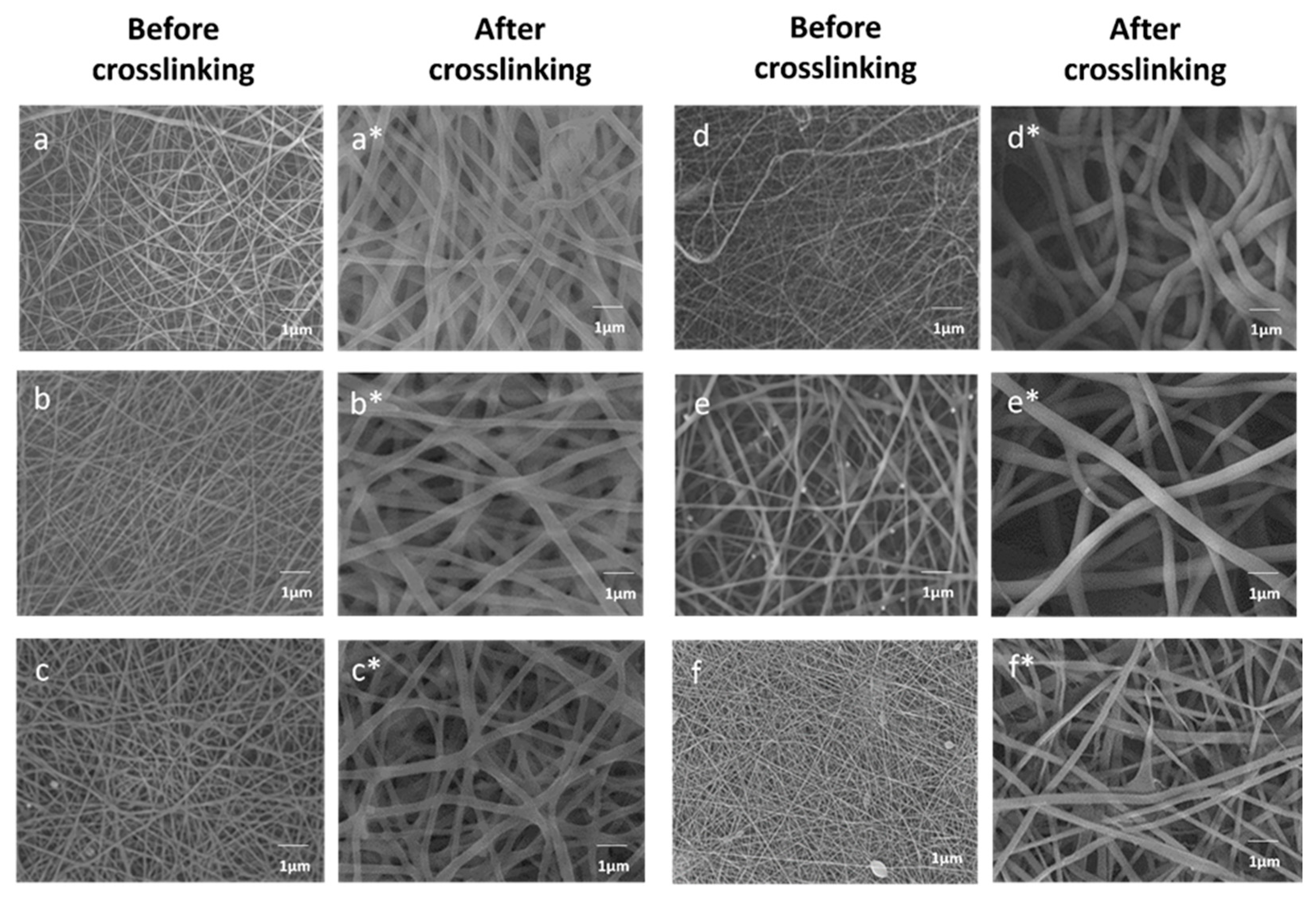 Nanomaterials 14 00372 g001