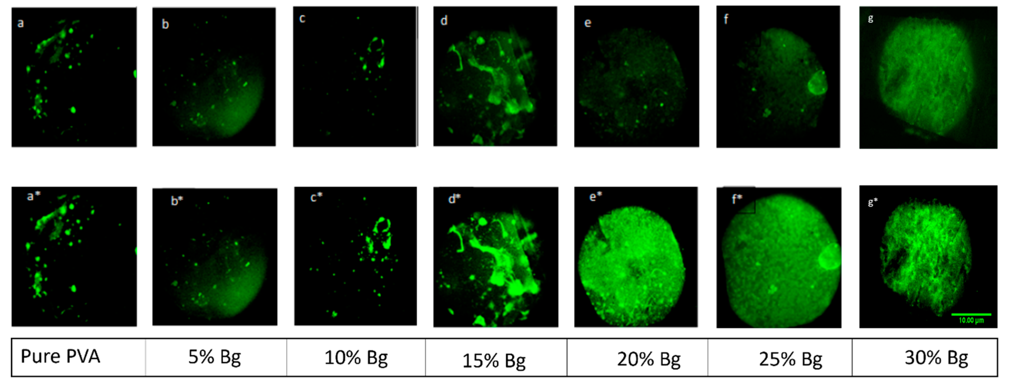 Nanomaterials 14 00372 g007