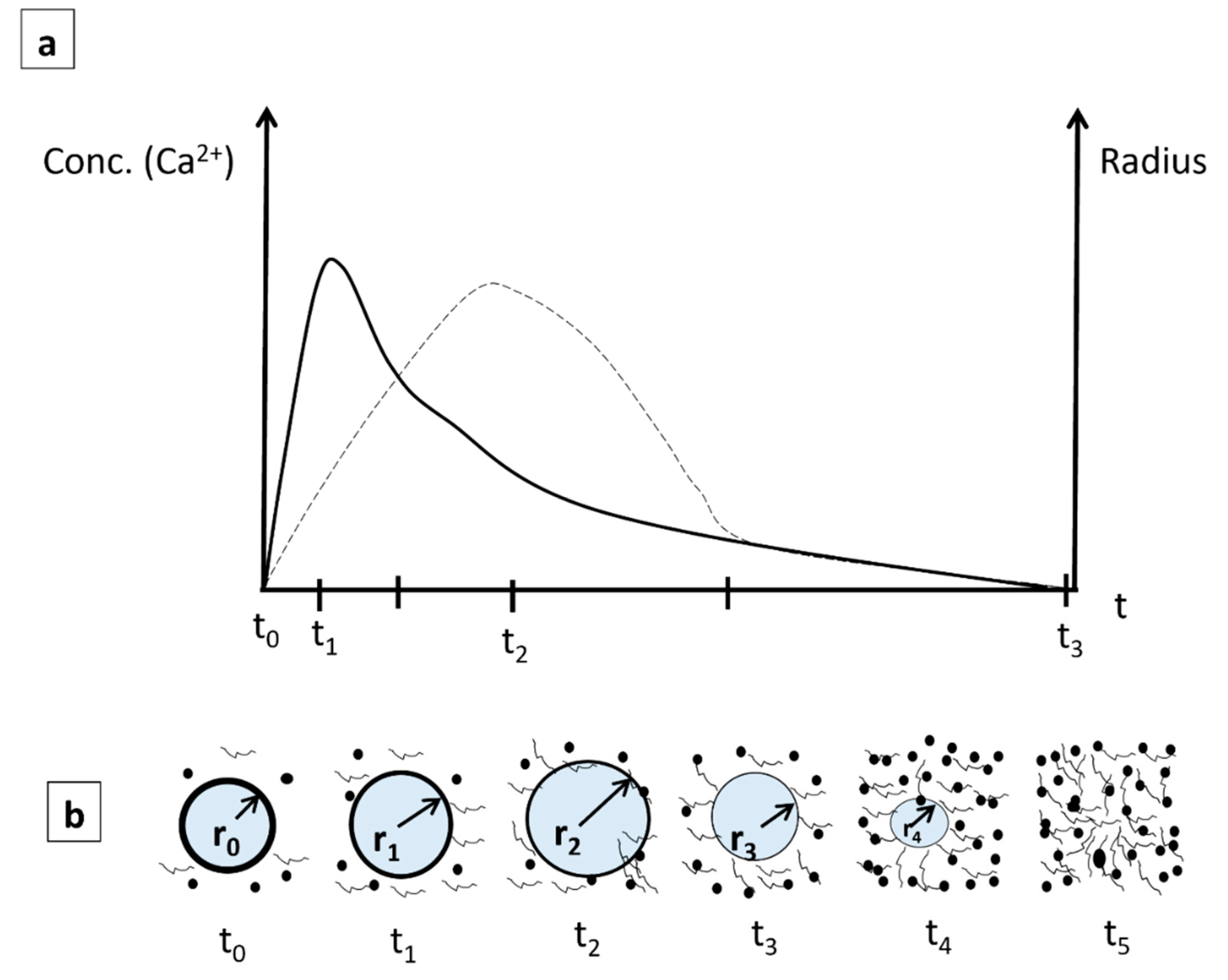 Nanomaterials 14 00372 g009