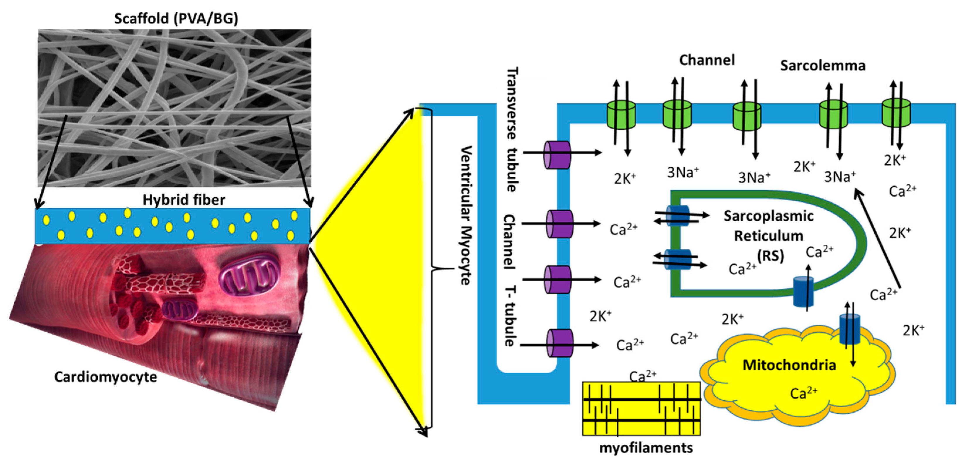 Nanomaterials 14 00372 g010