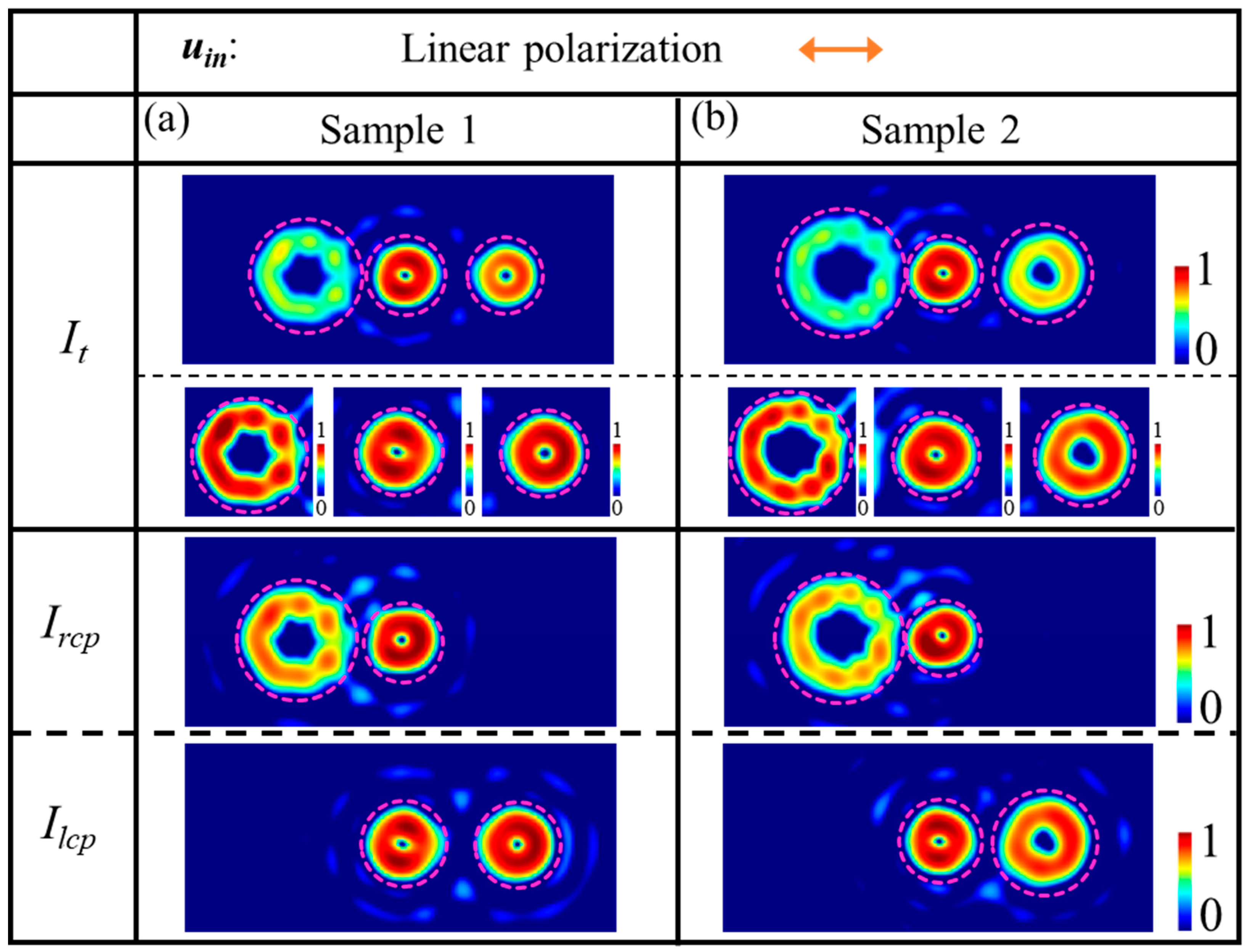 Nanomaterials 14 00374 g003
