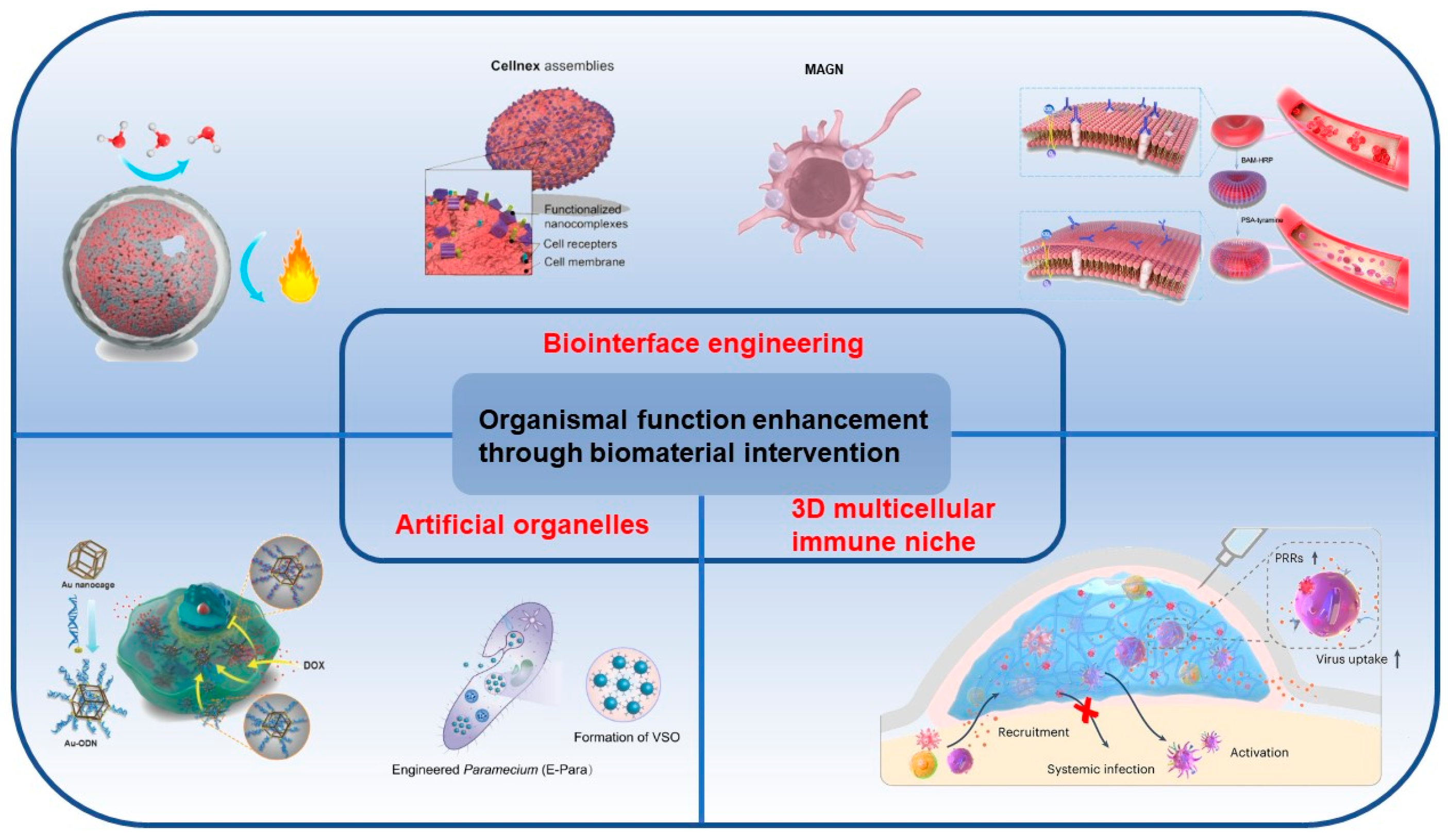 Nanomaterials 14 00377 g001