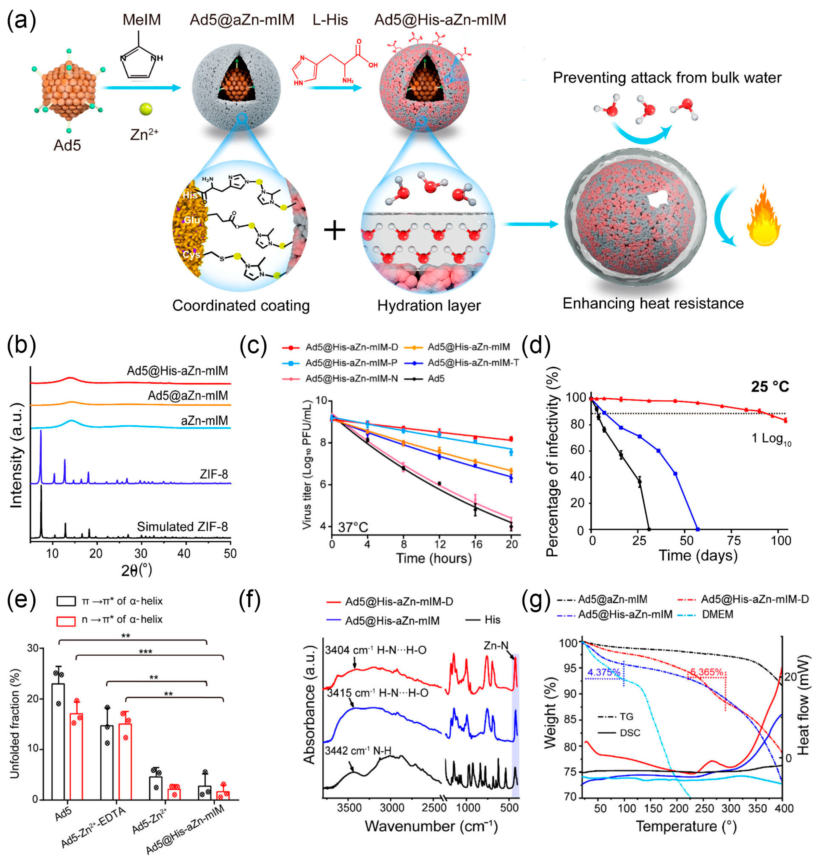 Nanomaterials 14 00377 g002