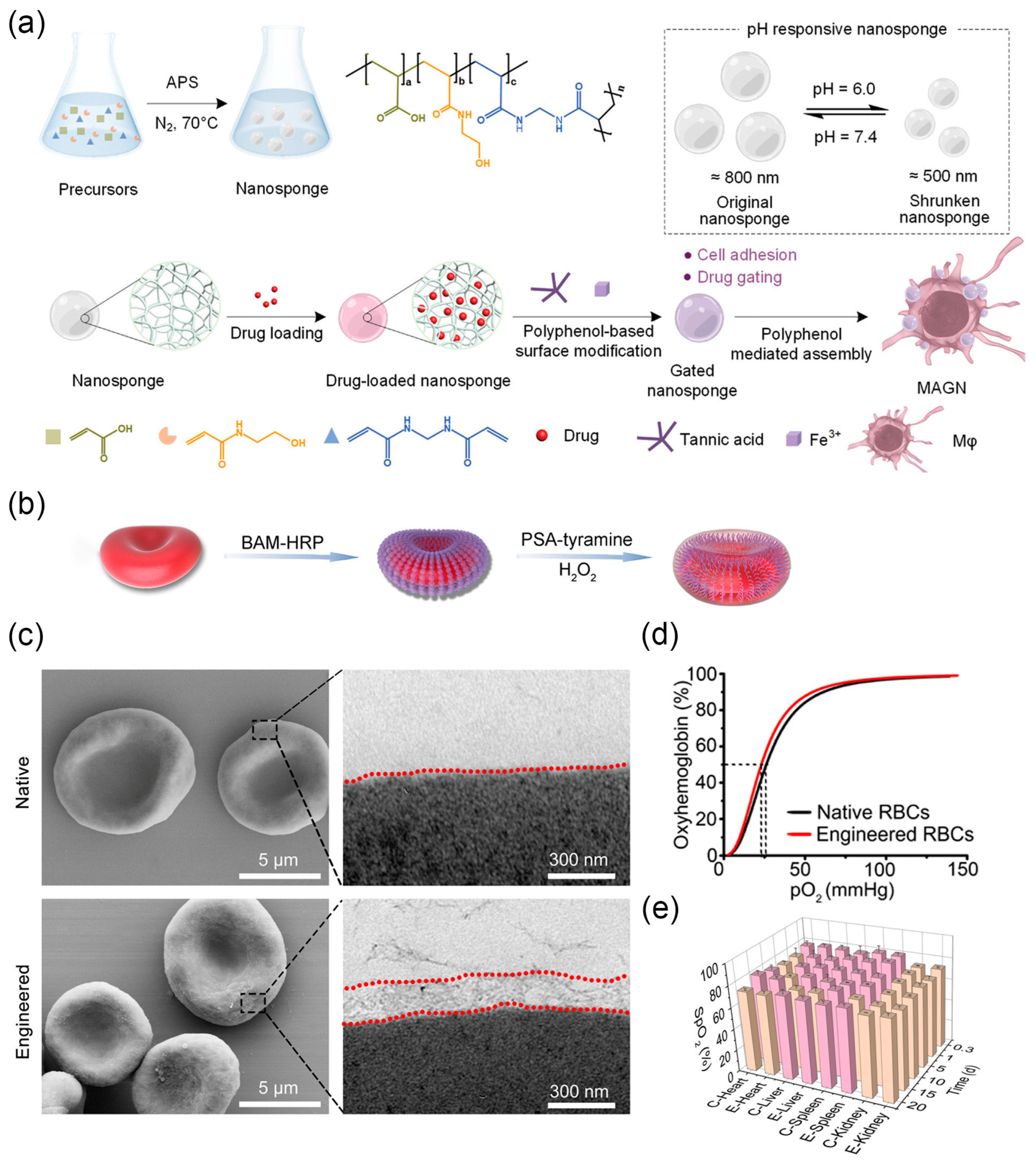 Nanomaterials 14 00377 g005