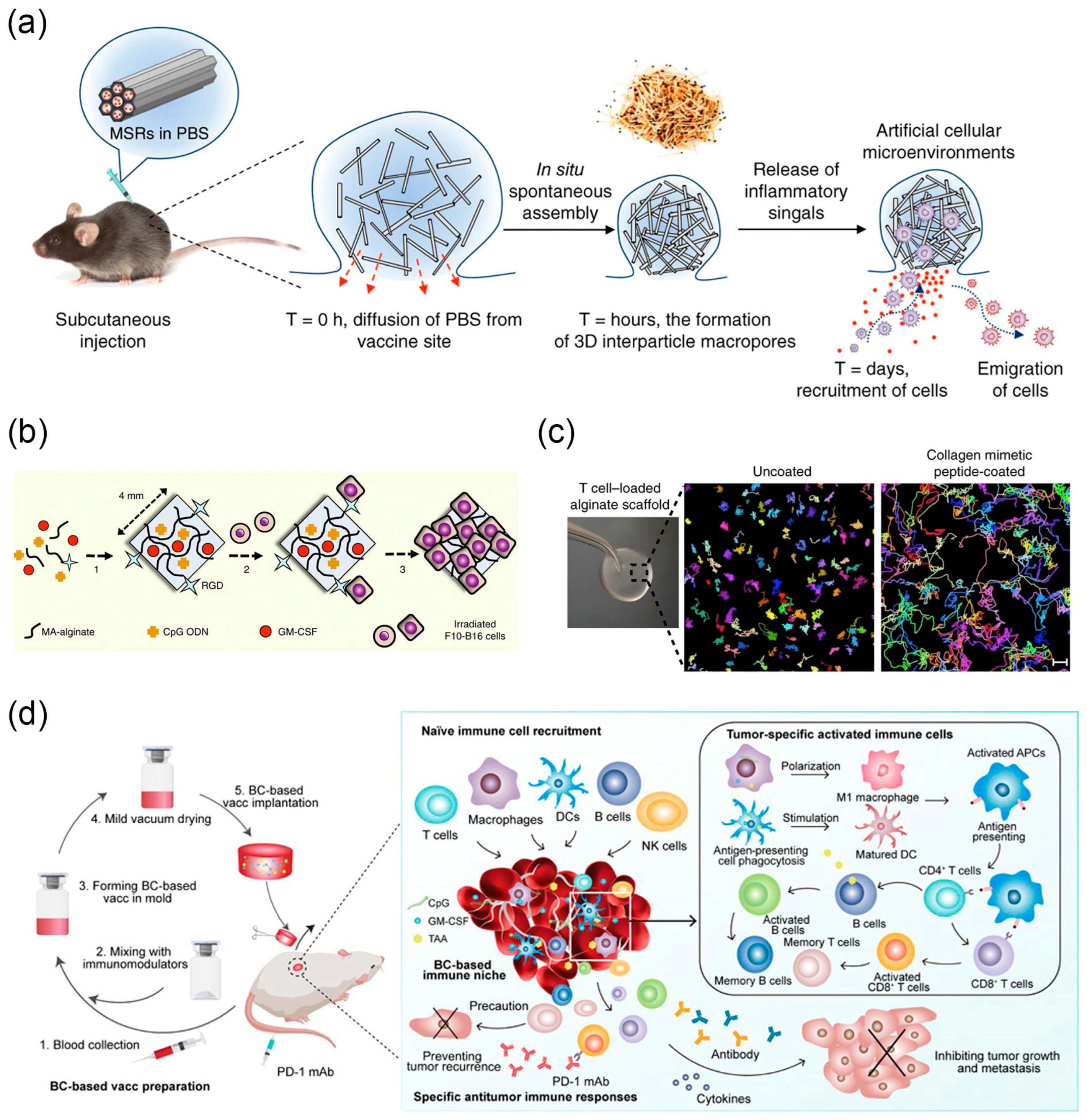 Nanomaterials 14 00377 g008
