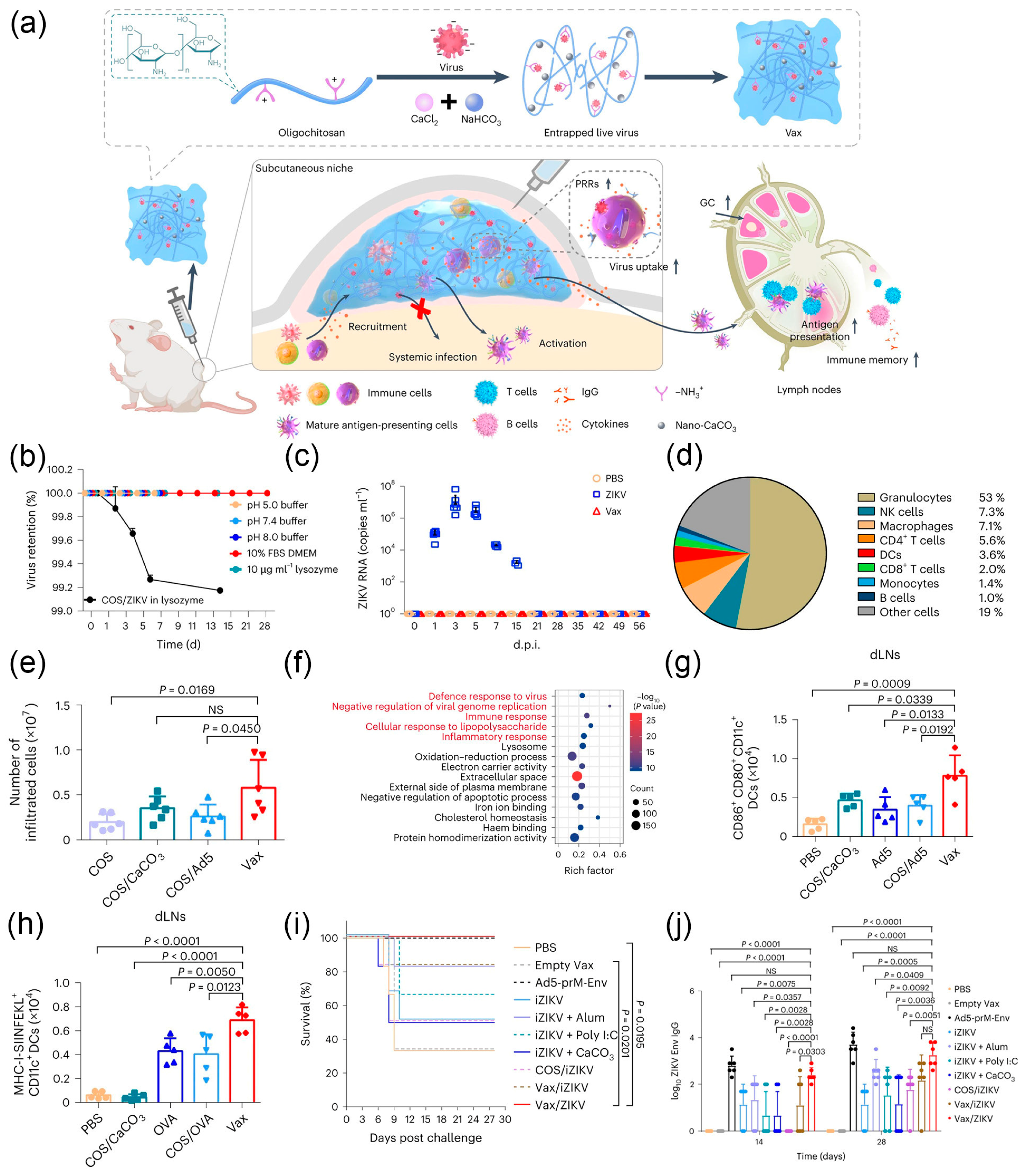 Nanomaterials 14 00377 g009