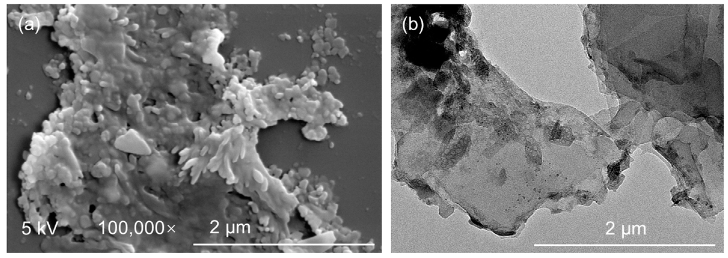 Nanomaterials 14 00379 g002