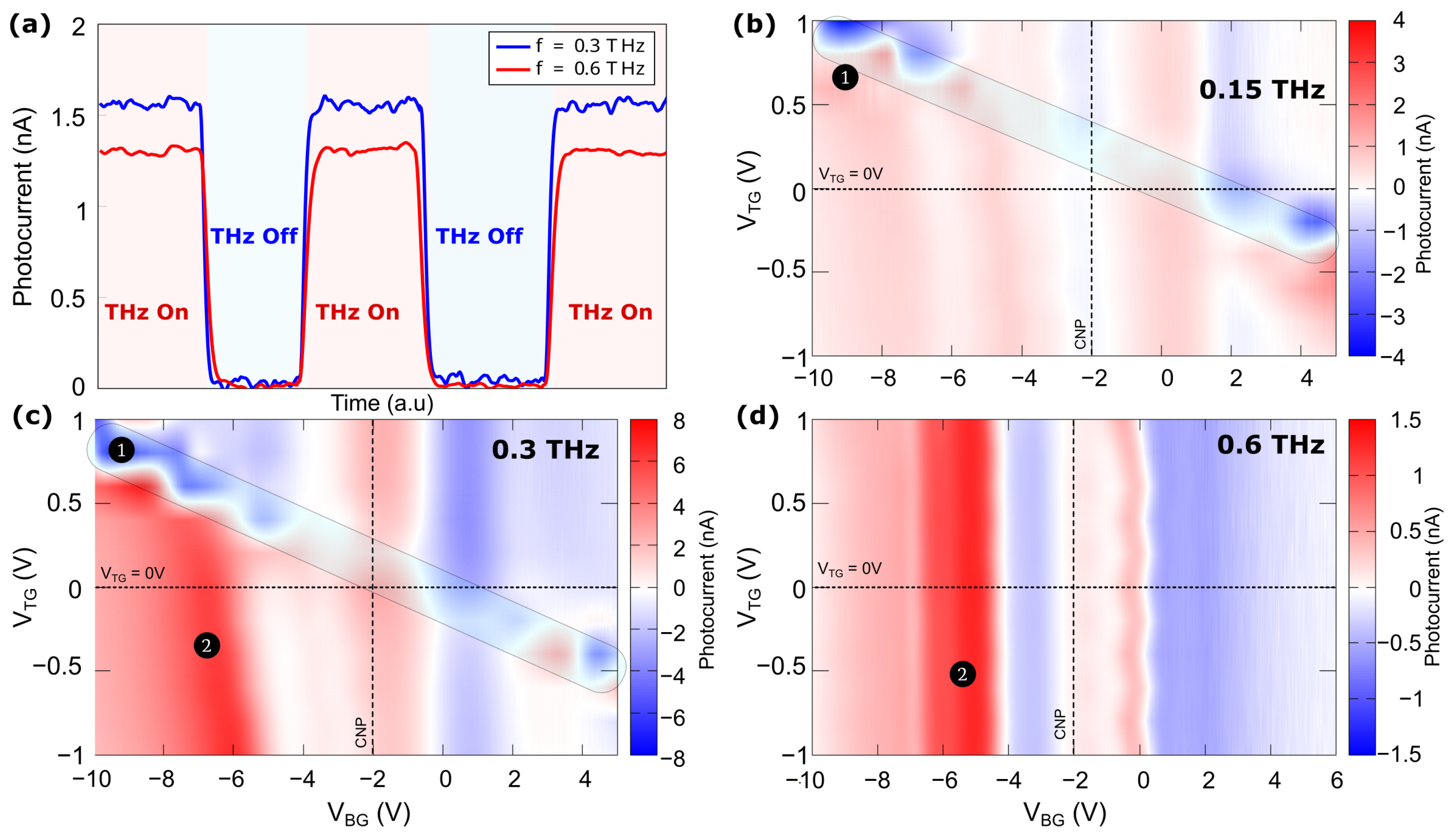 Nanomaterials 14 00383 g004