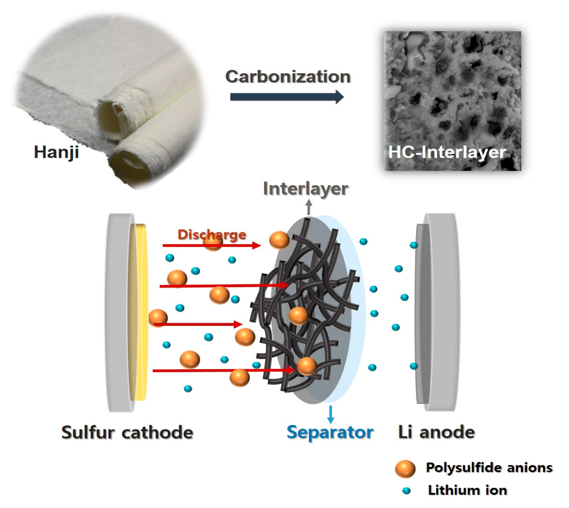 Nanomaterials 14 00385 g001