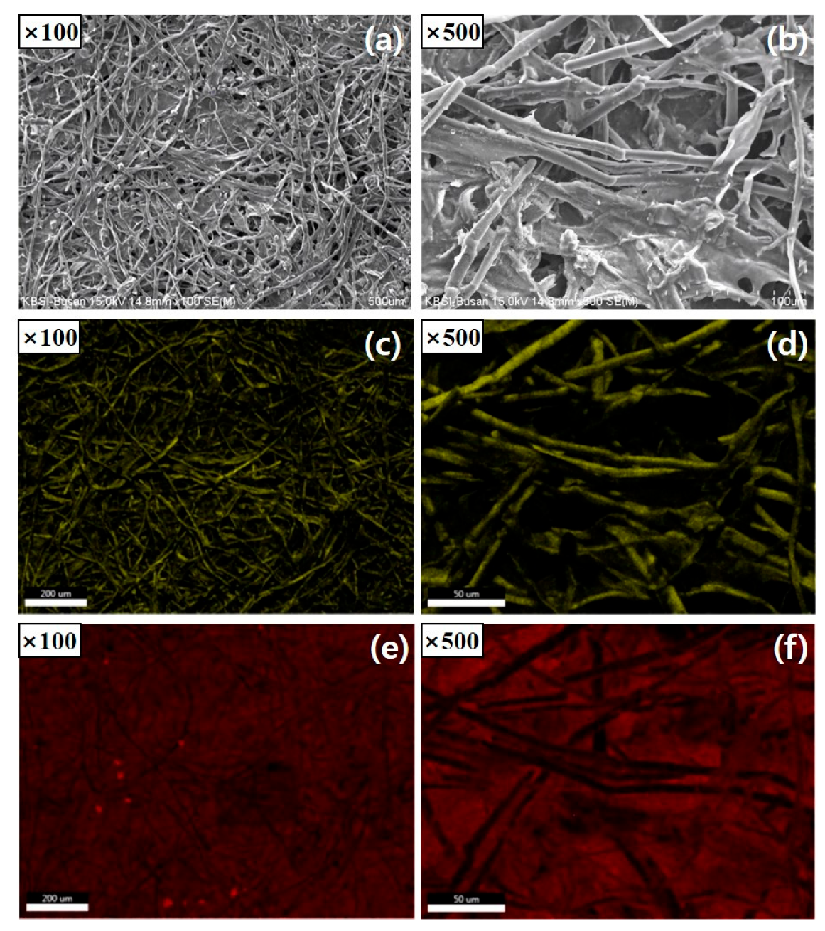 Nanomaterials 14 00385 g008