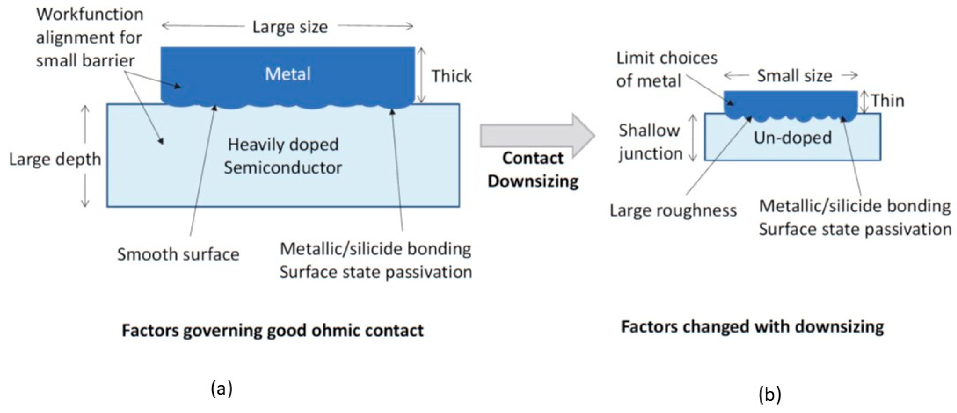 Nanomaterials 14 00386 g006