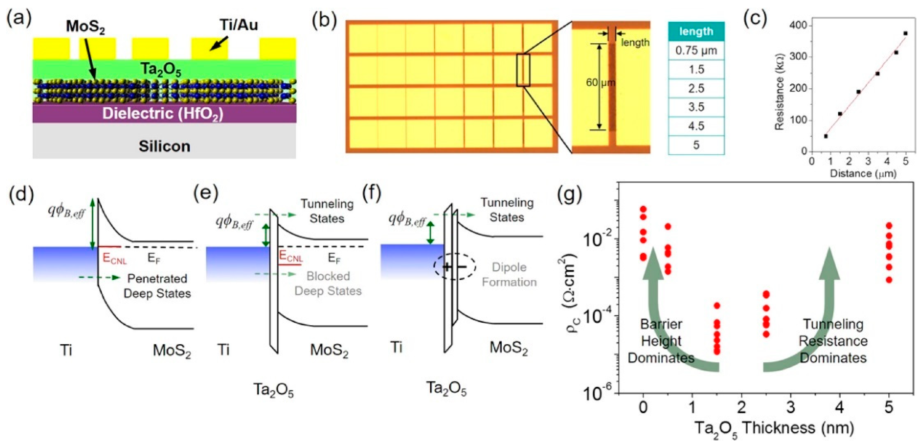 Nanomaterials 14 00386 g022