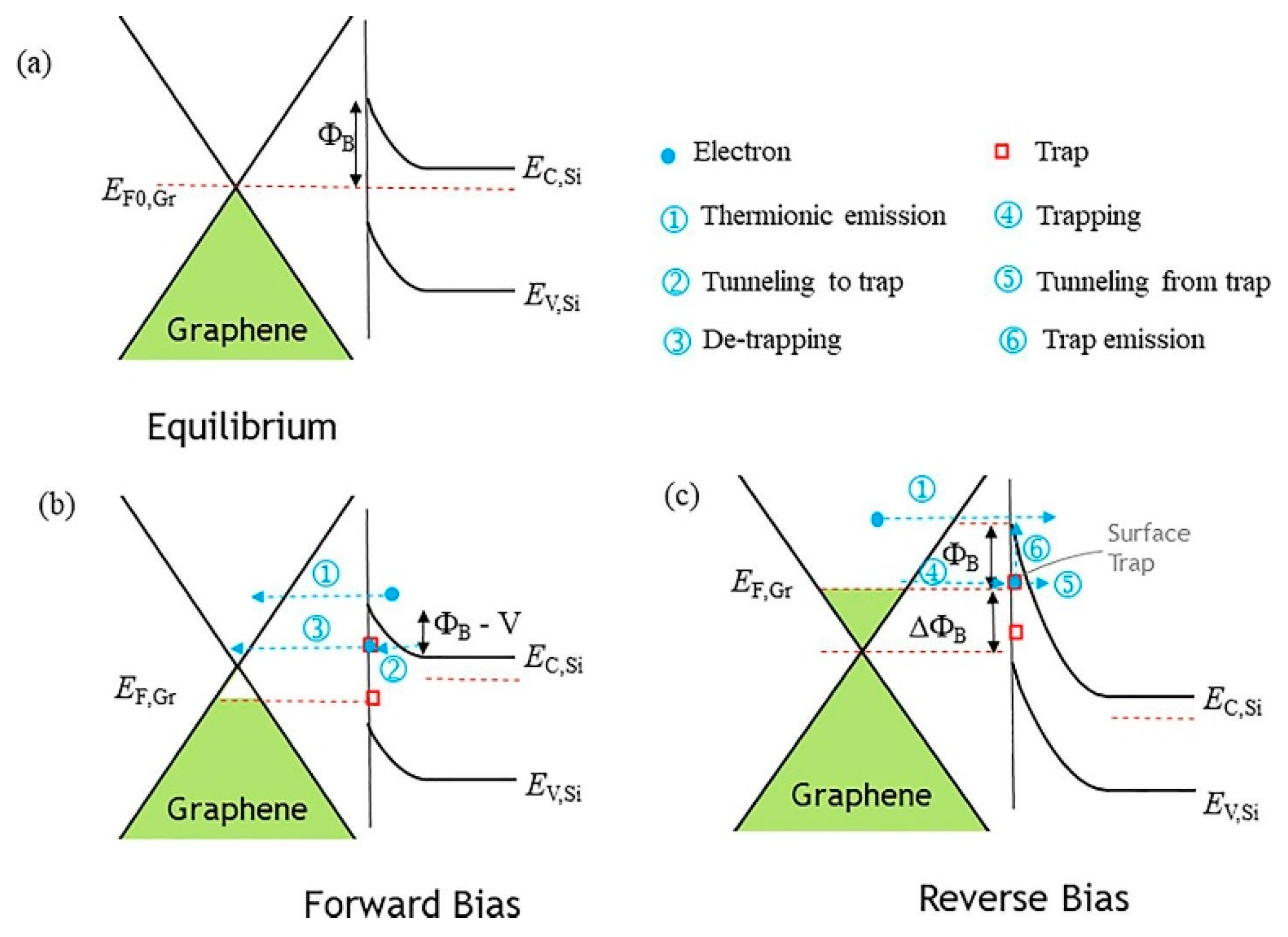 Nanomaterials 14 00386 g026