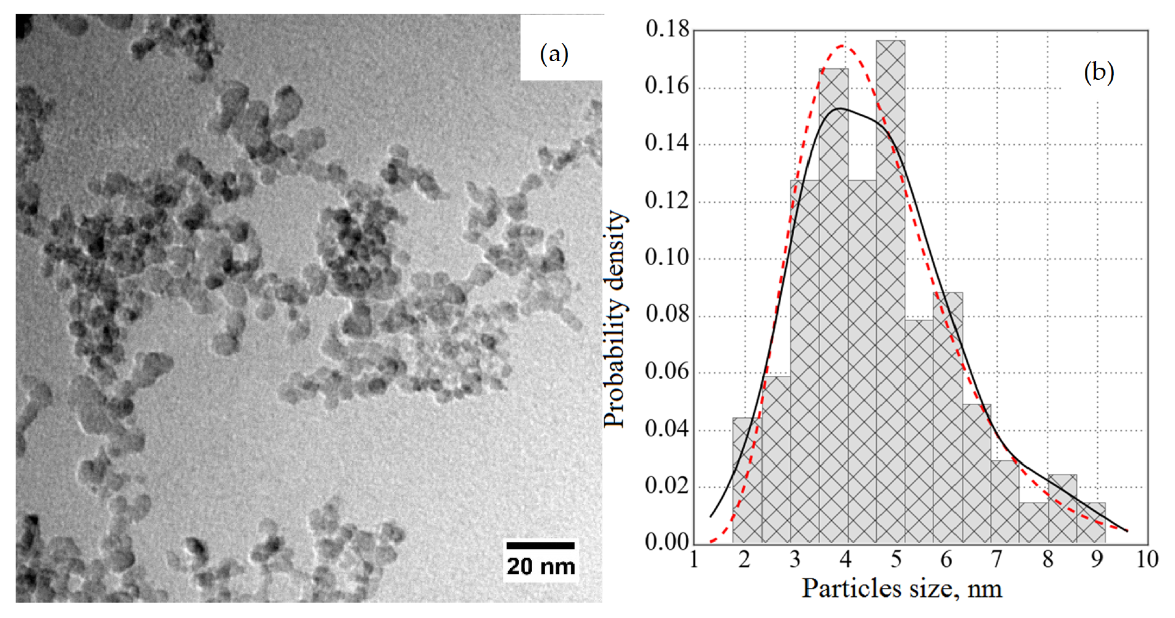 Nanomaterials 14 00387 g015
