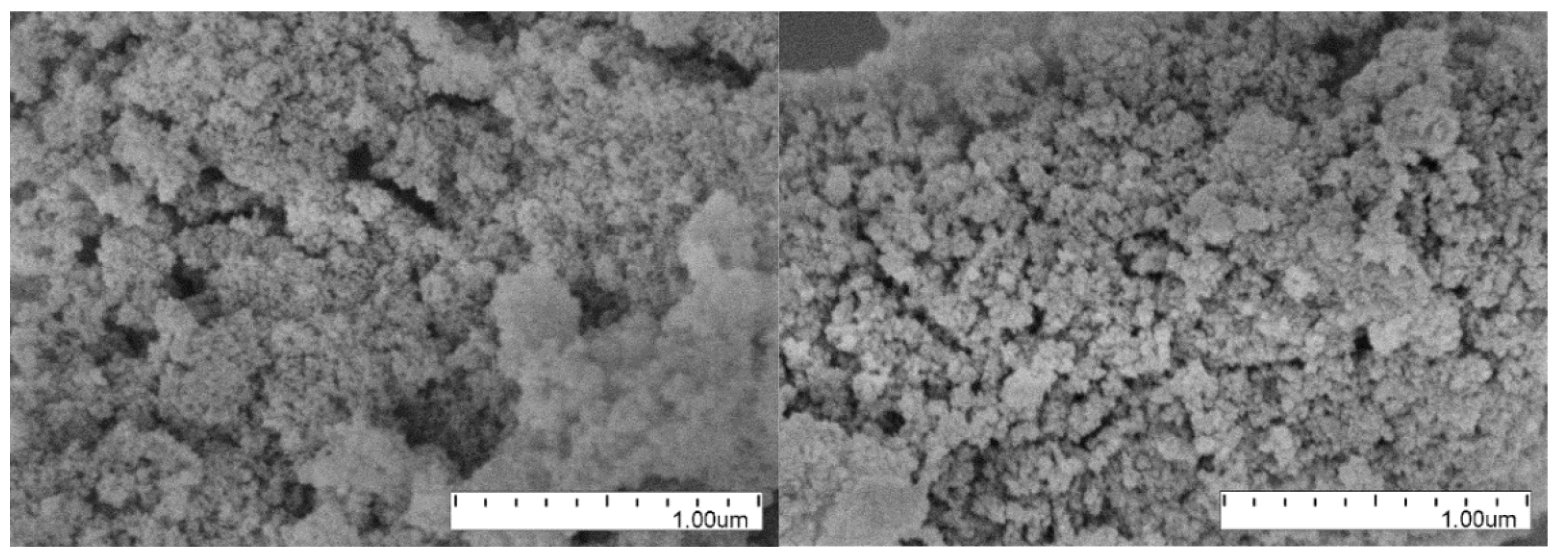 Nanomaterials 14 00387 g016