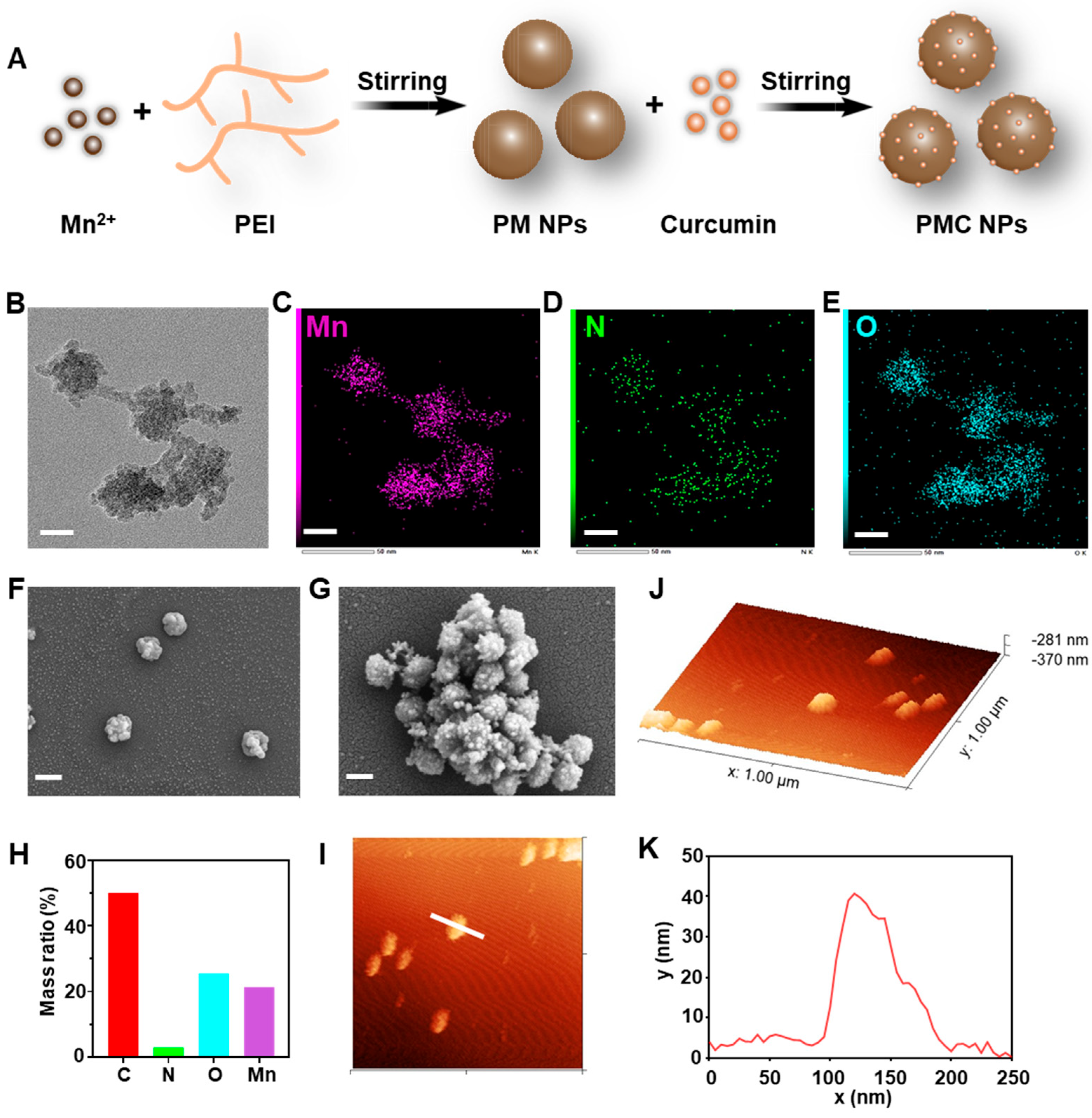 Nanomaterials 14 00389 g001