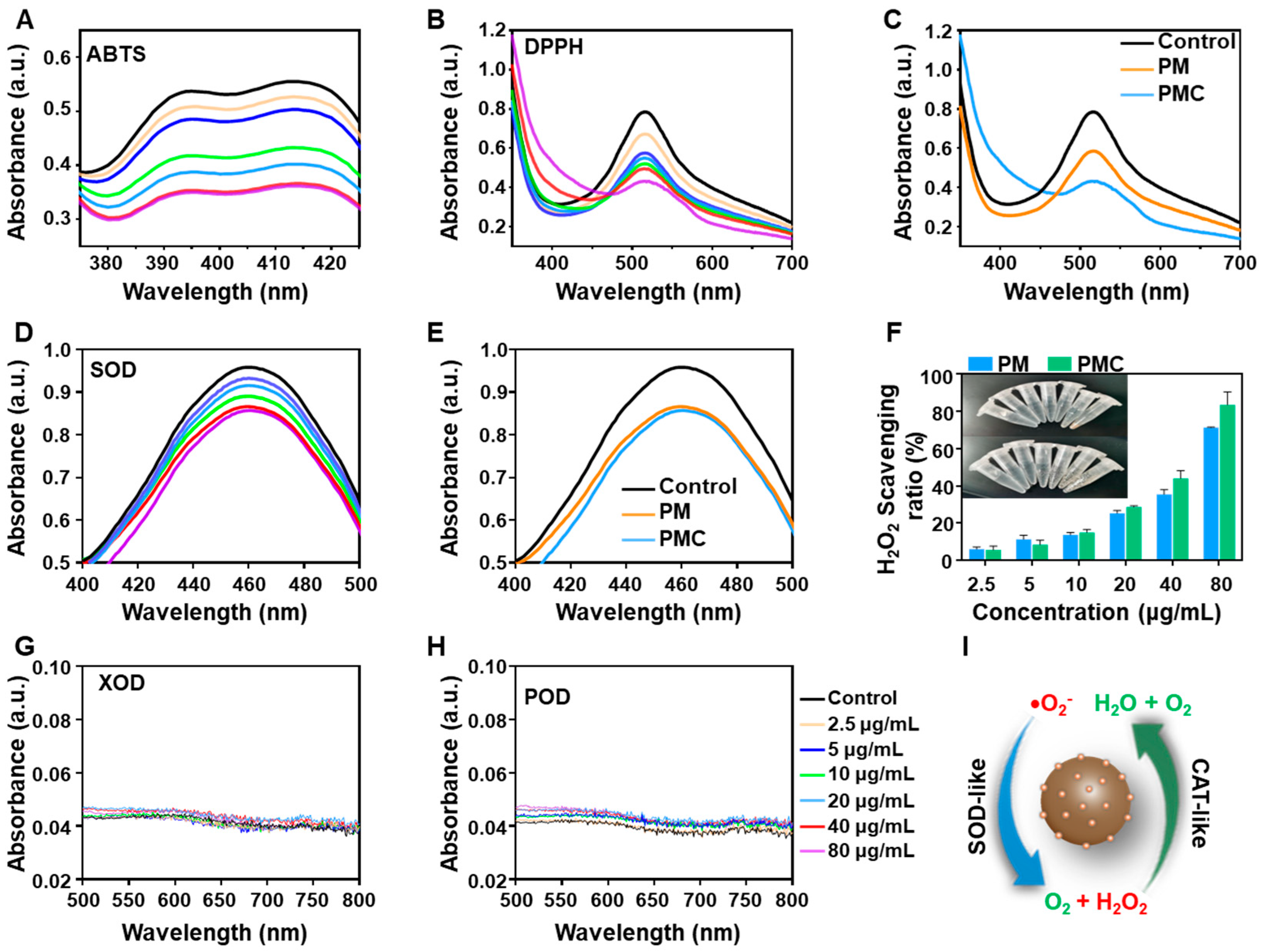 Nanomaterials 14 00389 g003