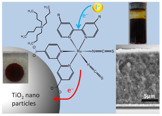 Progress and Application of Halide Perovskite Materials for
