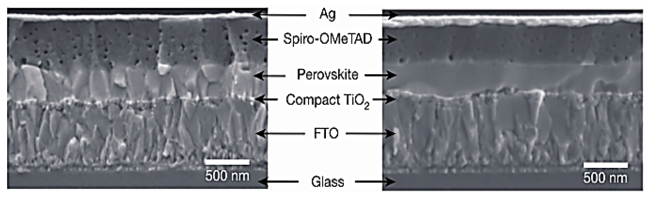 Nanomaterials 14 00391 g010