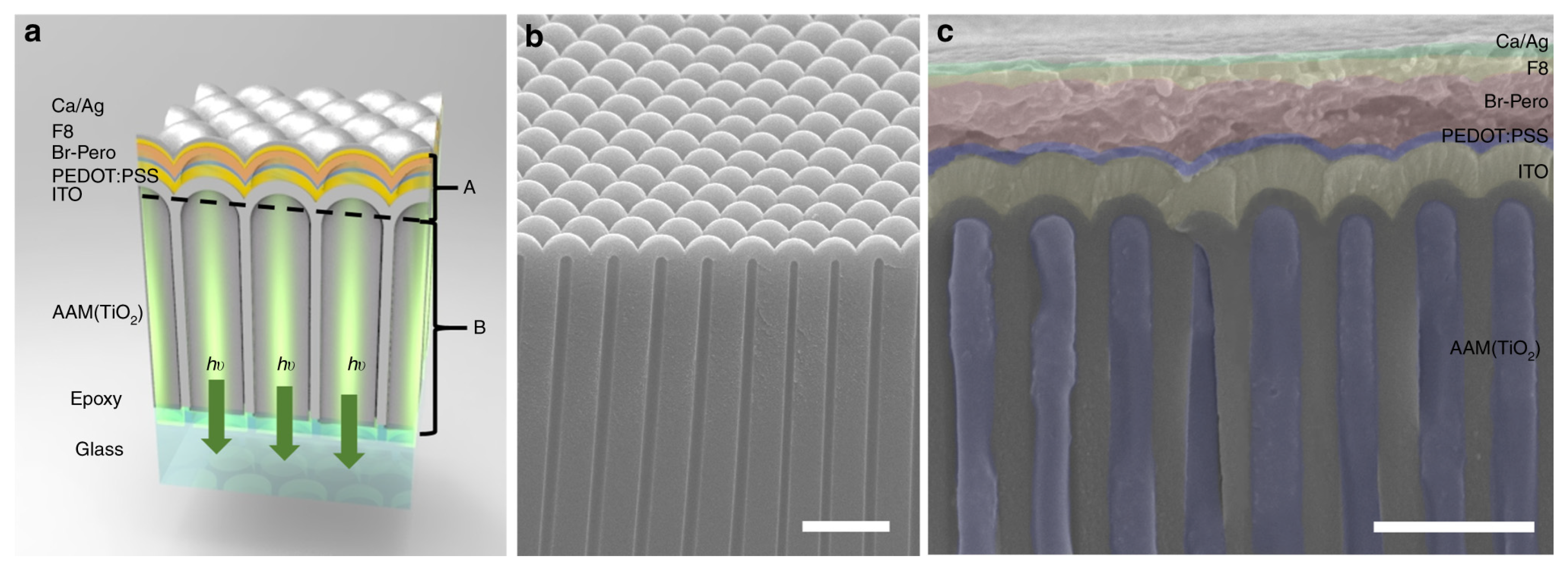 Nanomaterials 14 00391 g017