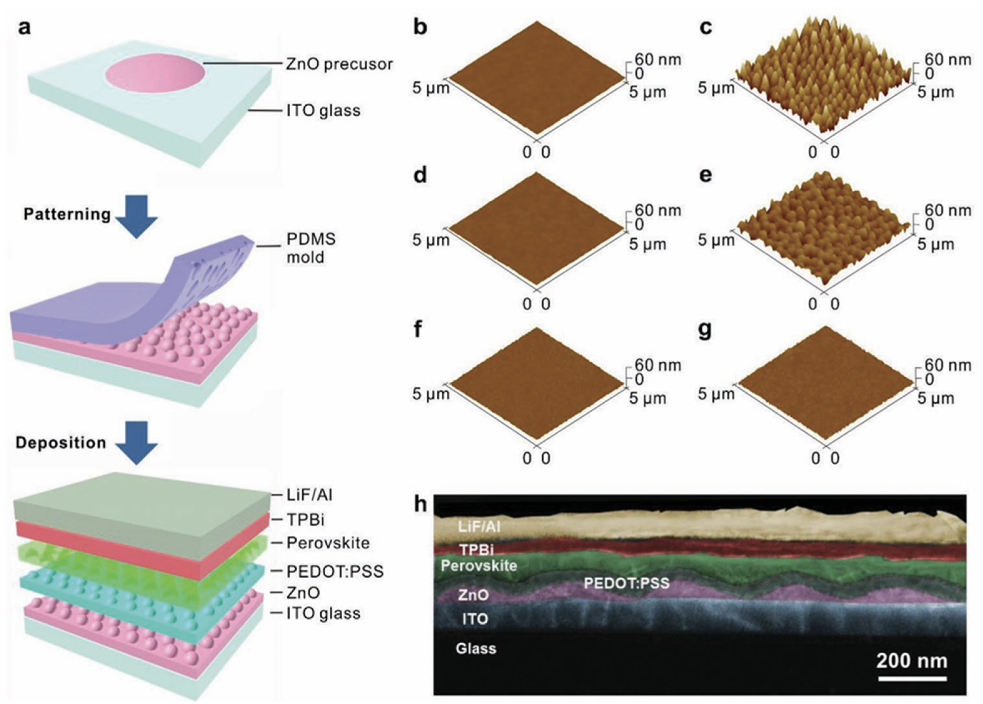 Nanomaterials 14 00391 g020