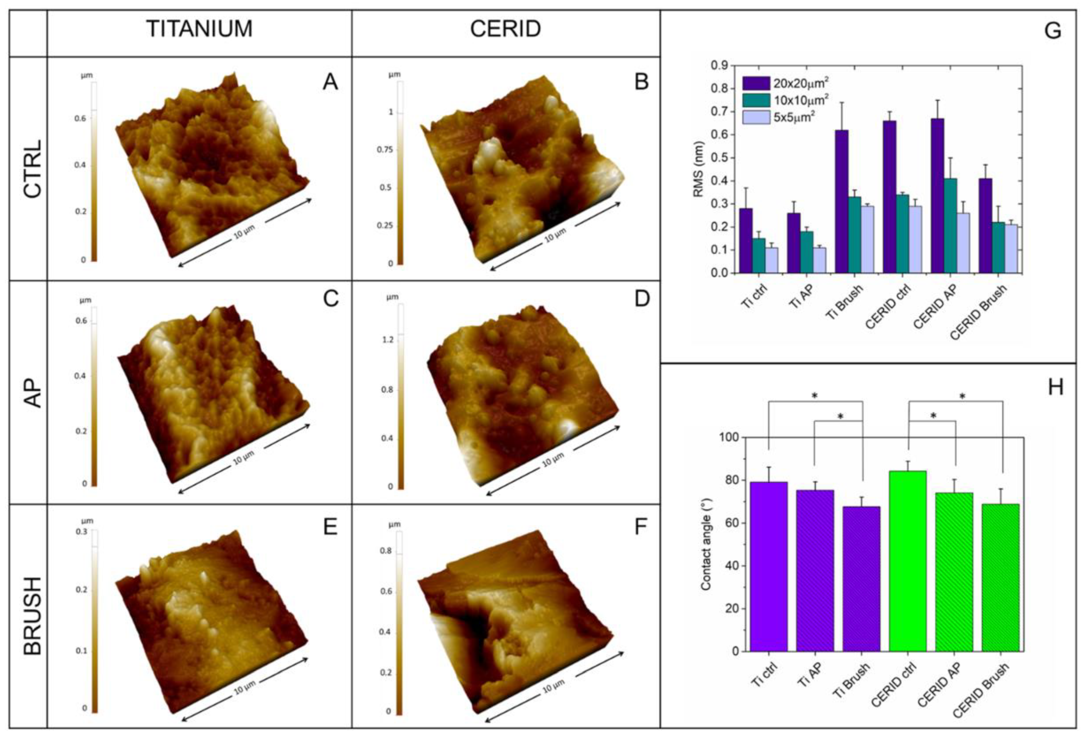 Nanomaterials 14 00392 g002