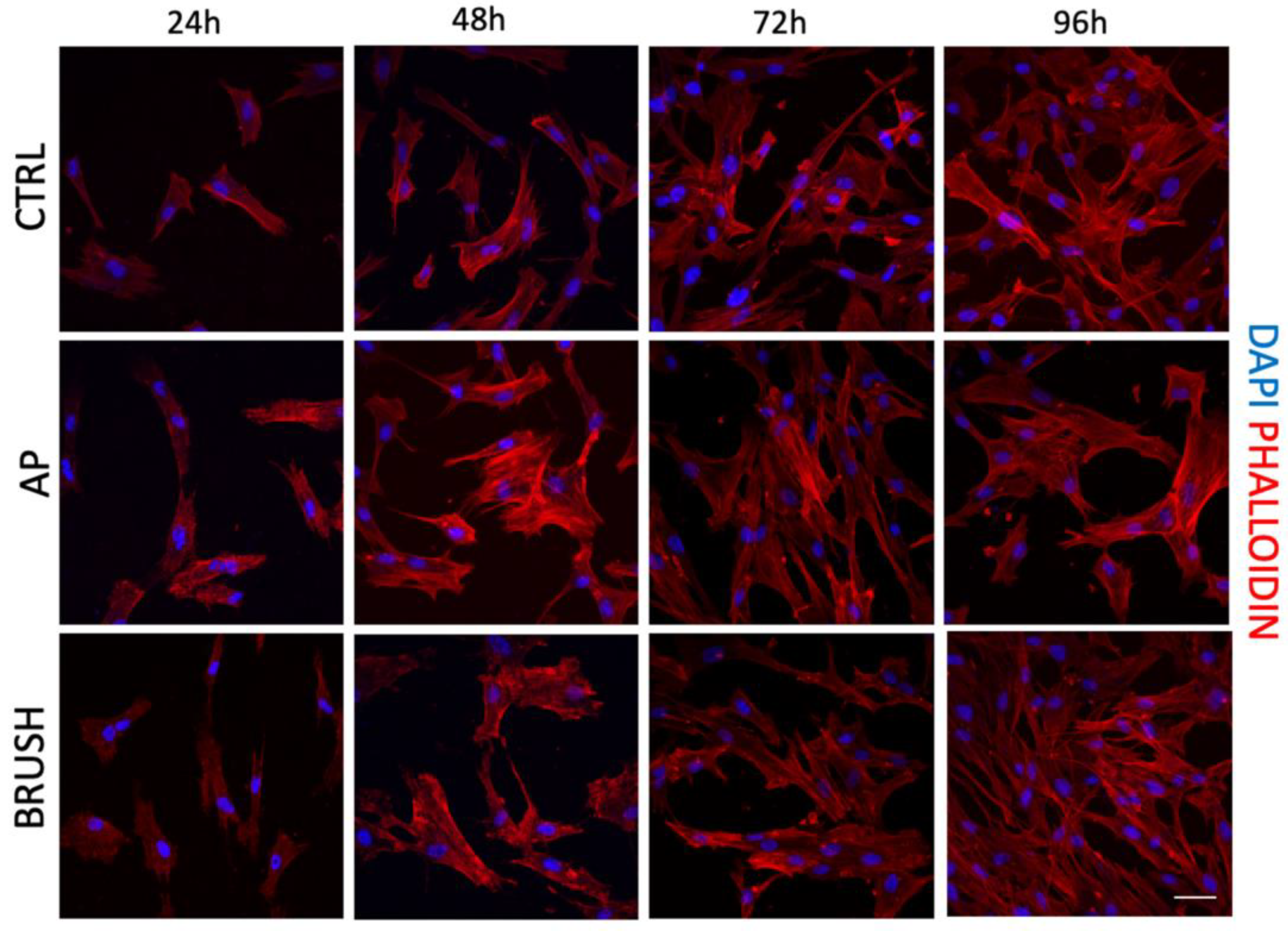Nanomaterials 14 00392 g004