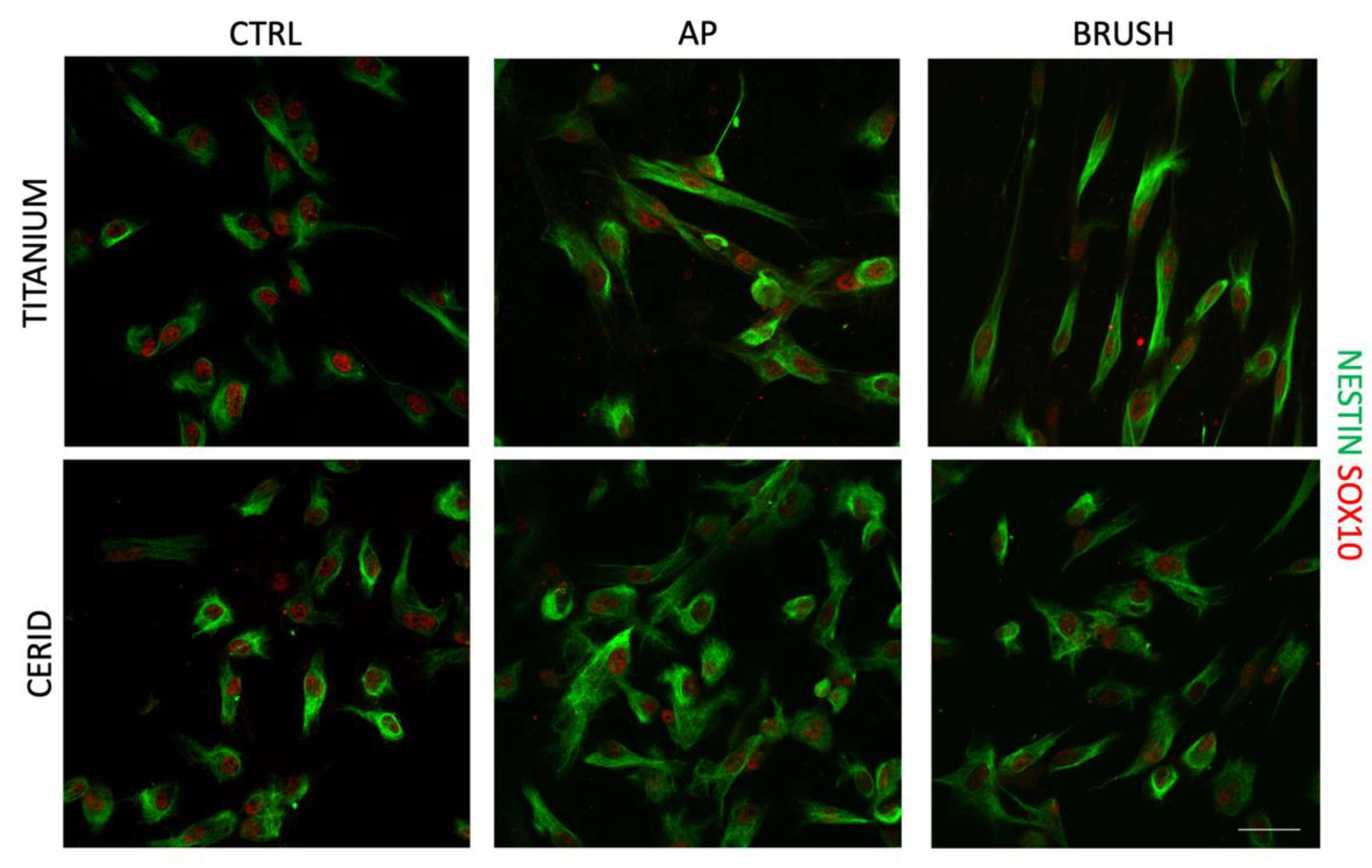 Nanomaterials 14 00392 g006