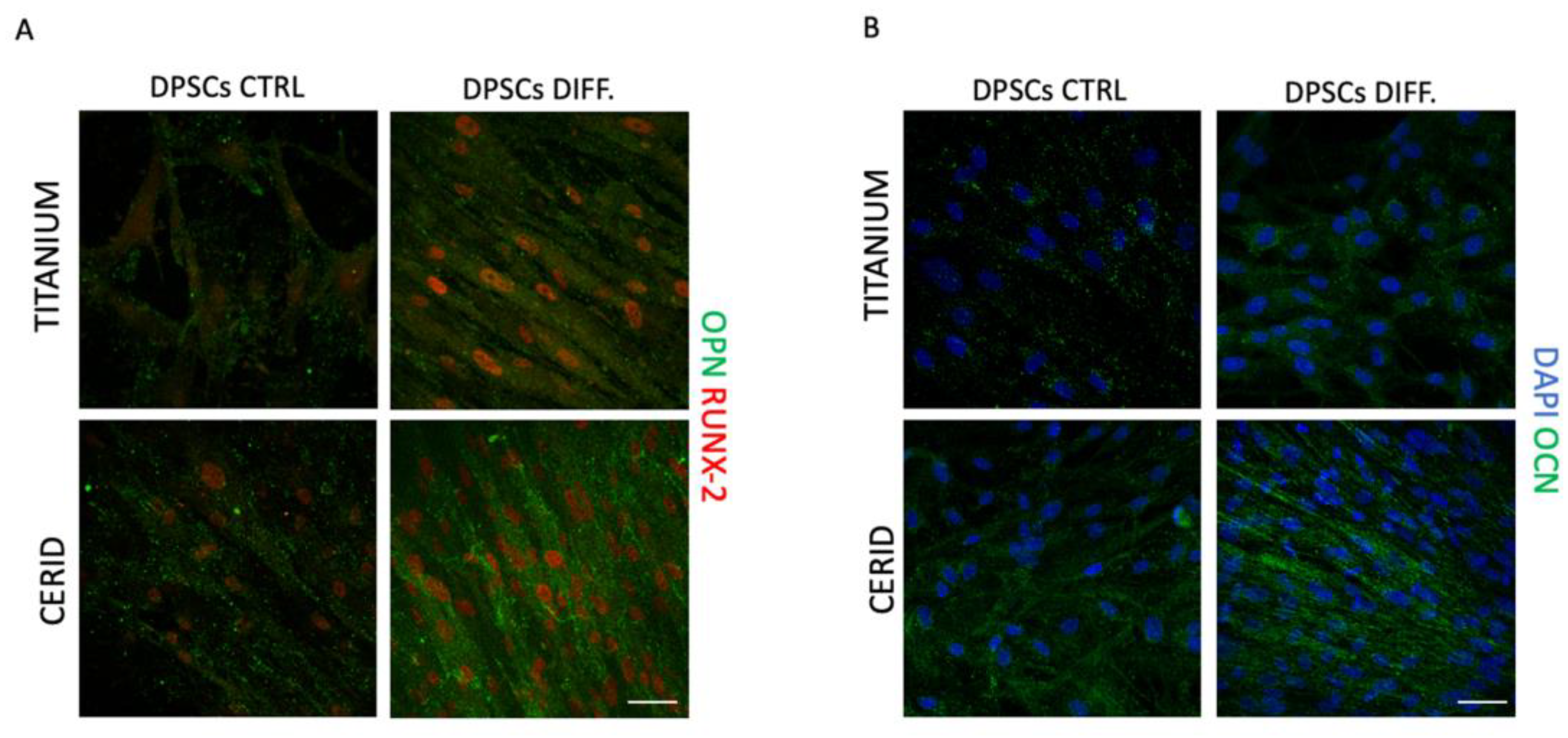 Nanomaterials 14 00392 g007