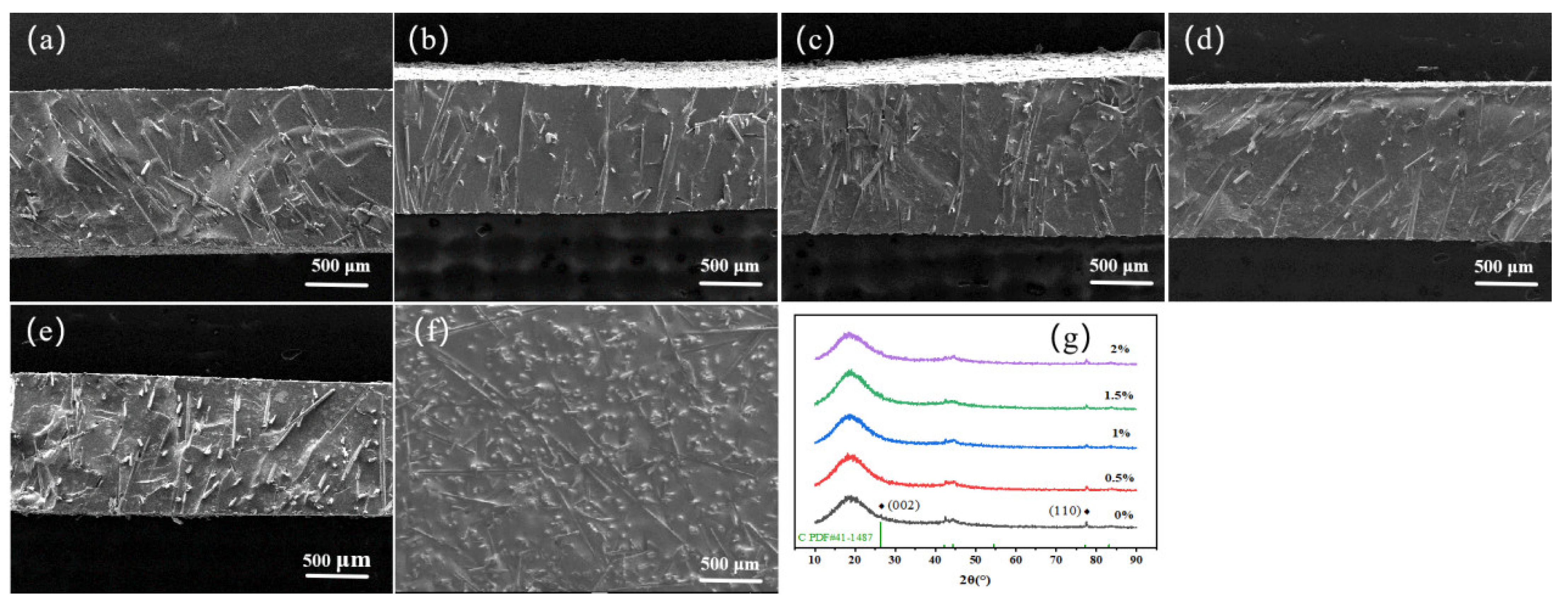 Nanomaterials 14 00393 g006