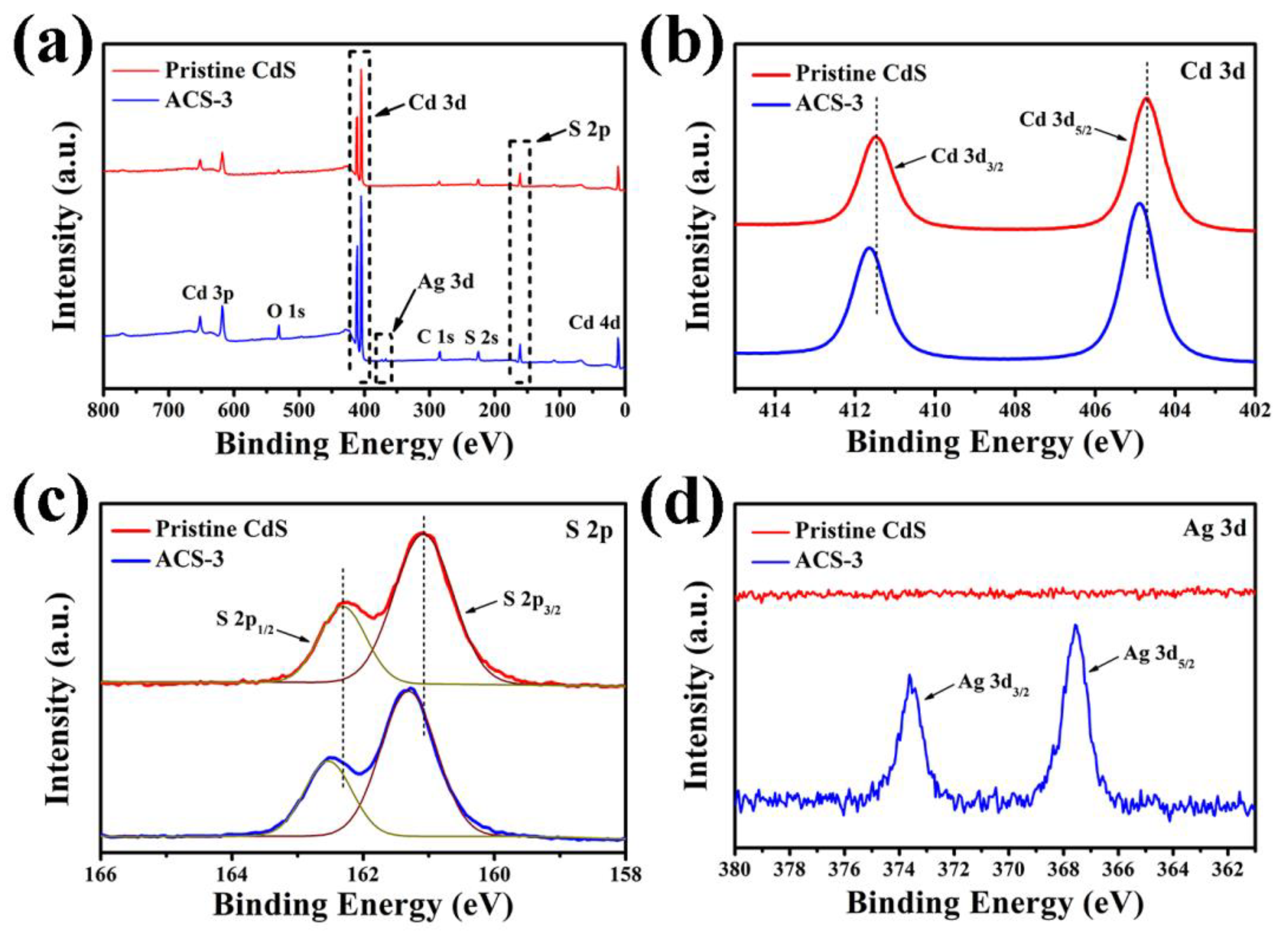 Nanomaterials 14 00394 g004