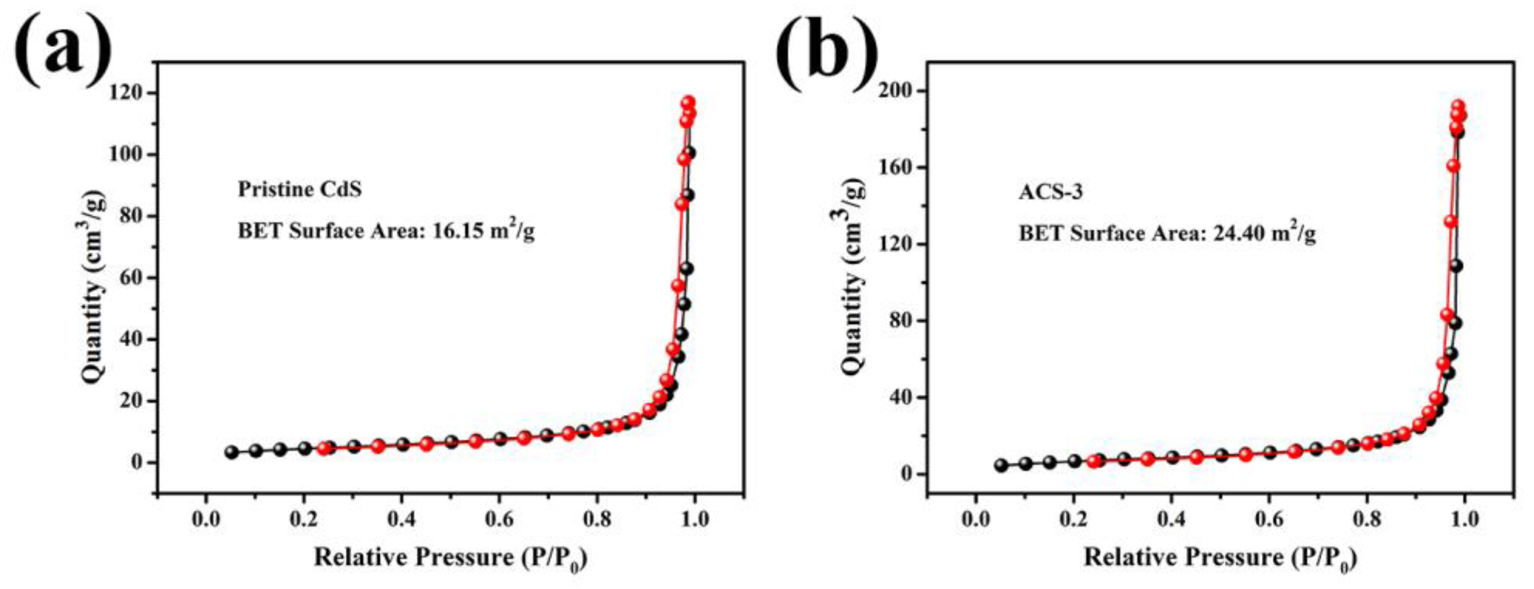 Nanomaterials 14 00394 g005